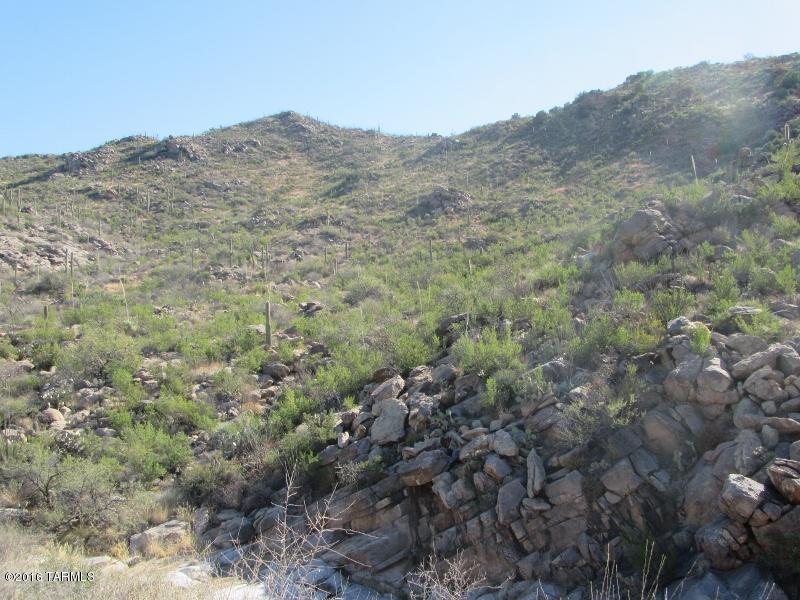Canyon Pass At Dove Mountain(1-48) - Land