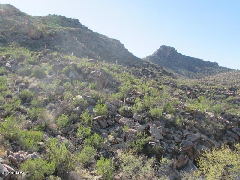 Canyon Pass At Dove Mountain(1-48) - Land
