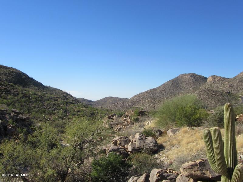 Canyon Pass At Dove Mountain(1-48) - Land