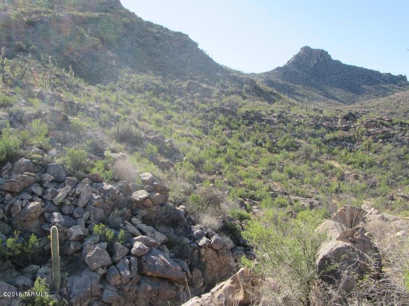 Bank Owned. REO Lot. One of the largest lots in the subdivision at 9+ acres. Build ion the mountain's surrounded by dramatic rock out cropping's. The ultimate in privacy. High above neighboring home sites. Views across the canyon, overlooking a vegetated wash. Building envelope is 26,632 sq ft. A similar site, Lot 176 is also available.