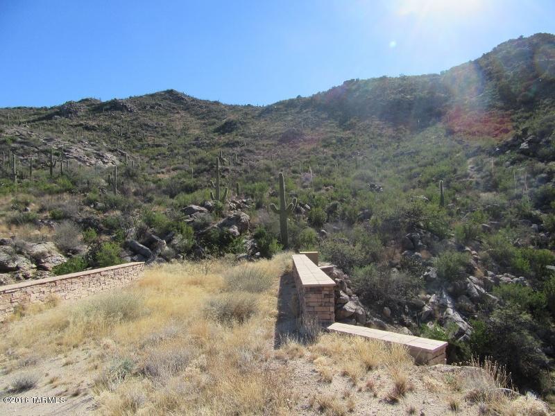 Canyon Pass At Dove Mountain(1-48) - Land
