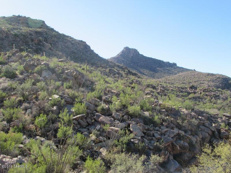 Canyon Pass At Dove Mountain(1-48) - Land