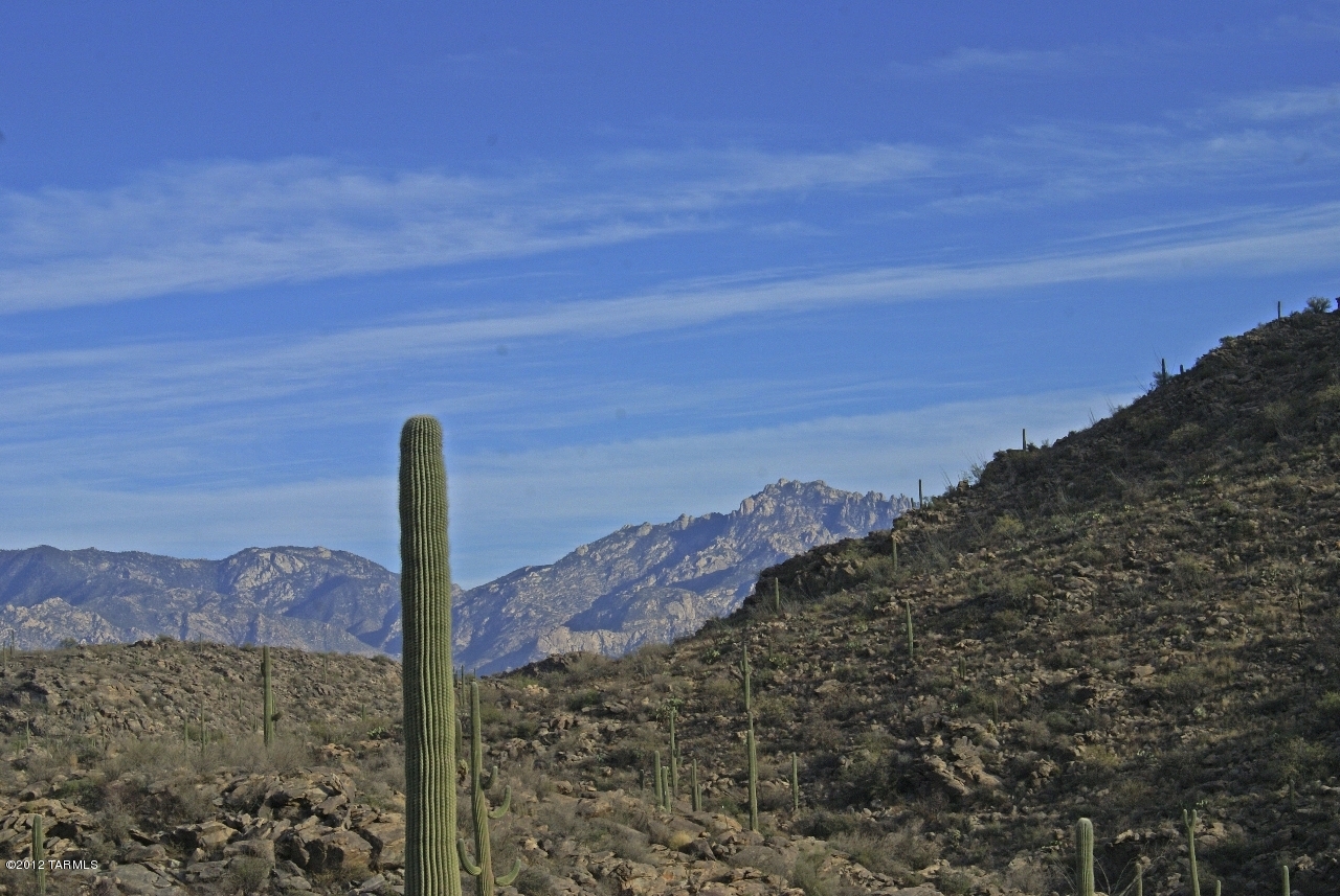 Saguaro Ranch (9-52) Blks. 1-4 - Land
