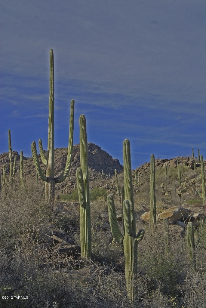 Saguaro Ranch (9-52) Blks. 1-4 - Land