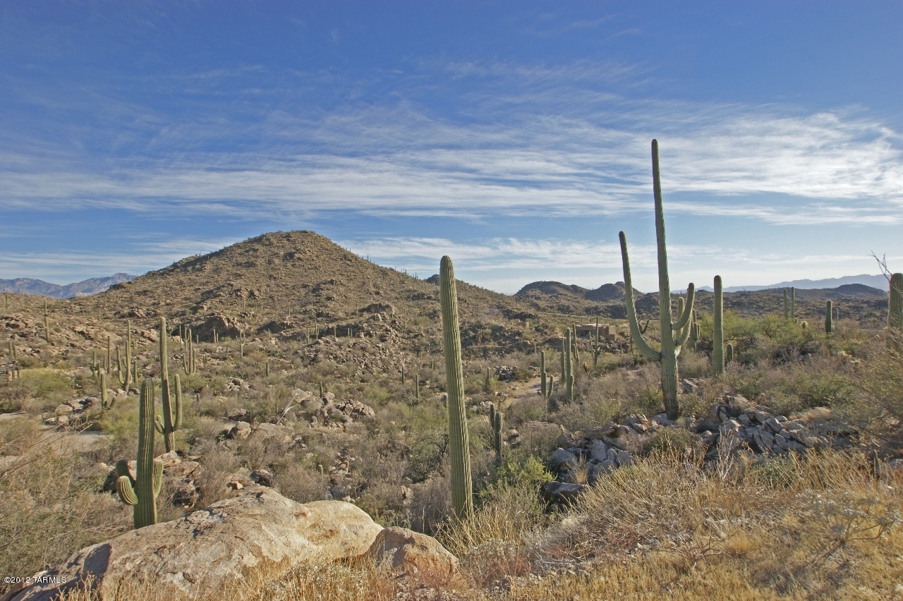 Saguaro Ranch (9-52) Blks. 1-4 - Land