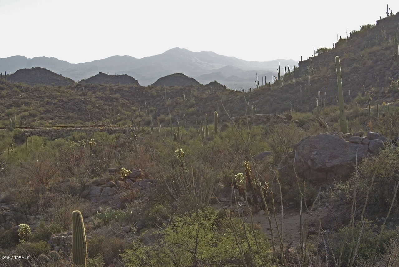 Saguaro Ranch (9-52) Blks. 1-4 - Land