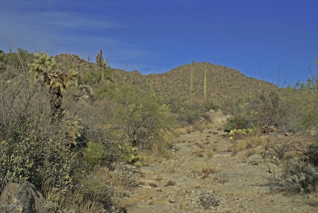 Saguaro Ranch (9-52) Blks. 1-4 - Land