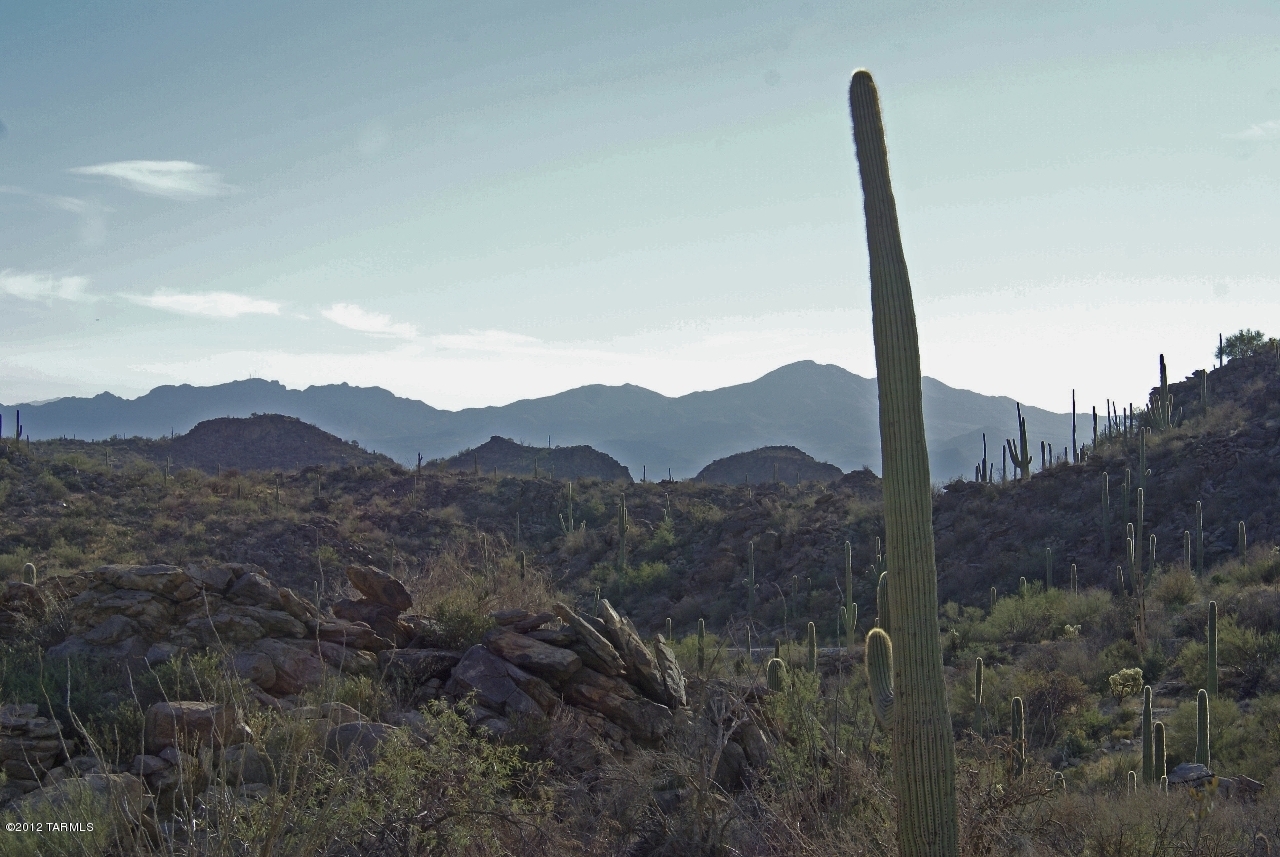 Saguaro Ranch (9-52) Blks. 1-4 - Land