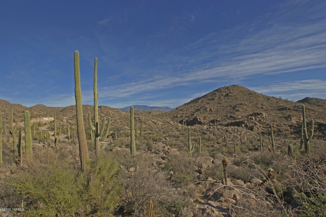 Looking for a scenic, private retreat? The search stops here! Breathtaking mountain views, rock outcroppings, majestic saguaros and serene Sonoran desert surround you on this private 4.2 acre parcel. An incredible opportunity to build in the exclusive community of Saguaro Ranch. Multi-million dollar homes are nestled in the hills and valleys; one of the few neighborhoods that so perfectly pairs pristine desert with architectural excellence.
