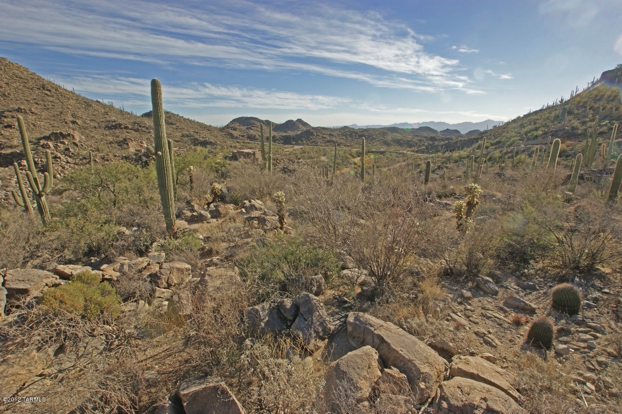 Saguaro Ranch (9-52) Blks. 1-4 - Land