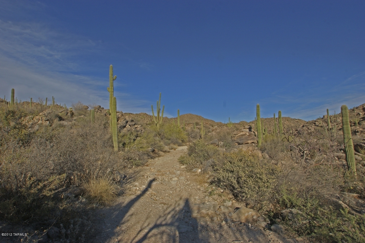 Saguaro Ranch (9-52) Blks. 1-4 - Land