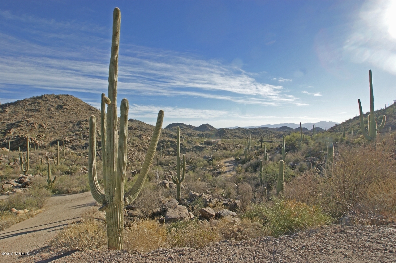 Saguaro Ranch (9-52) Blks. 1-4 - Land