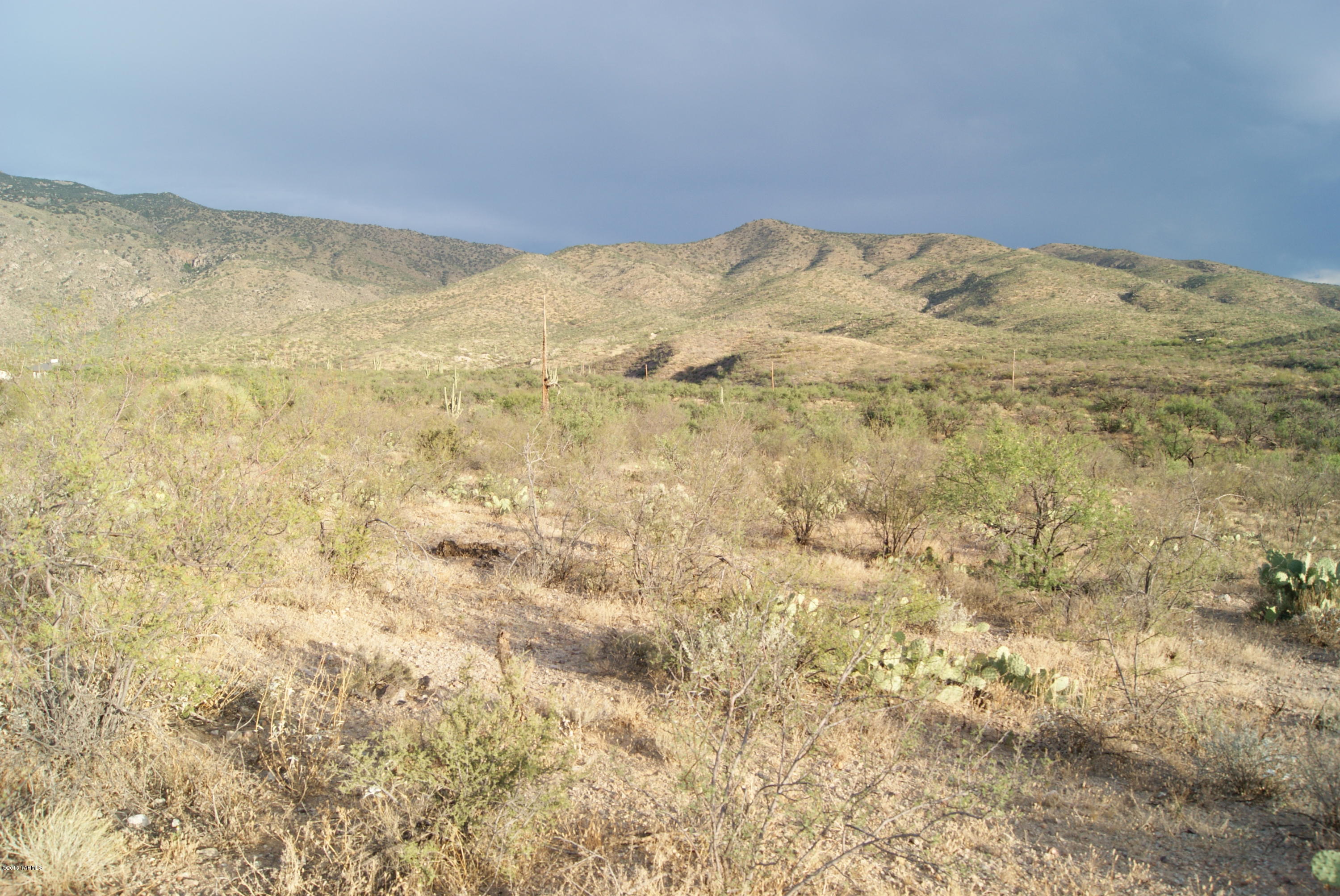 X9 Ranch - Land
