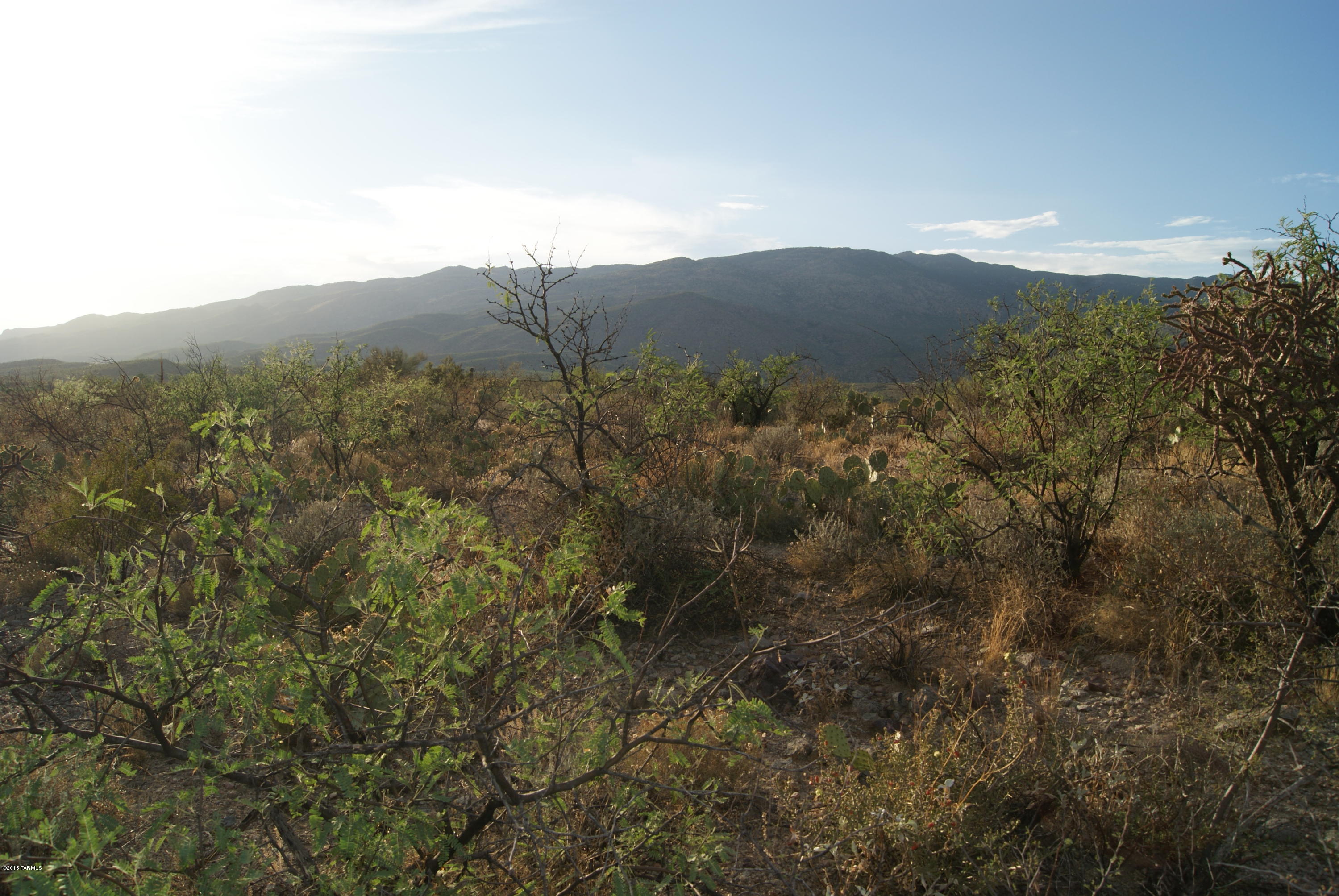 X9 Ranch - Land