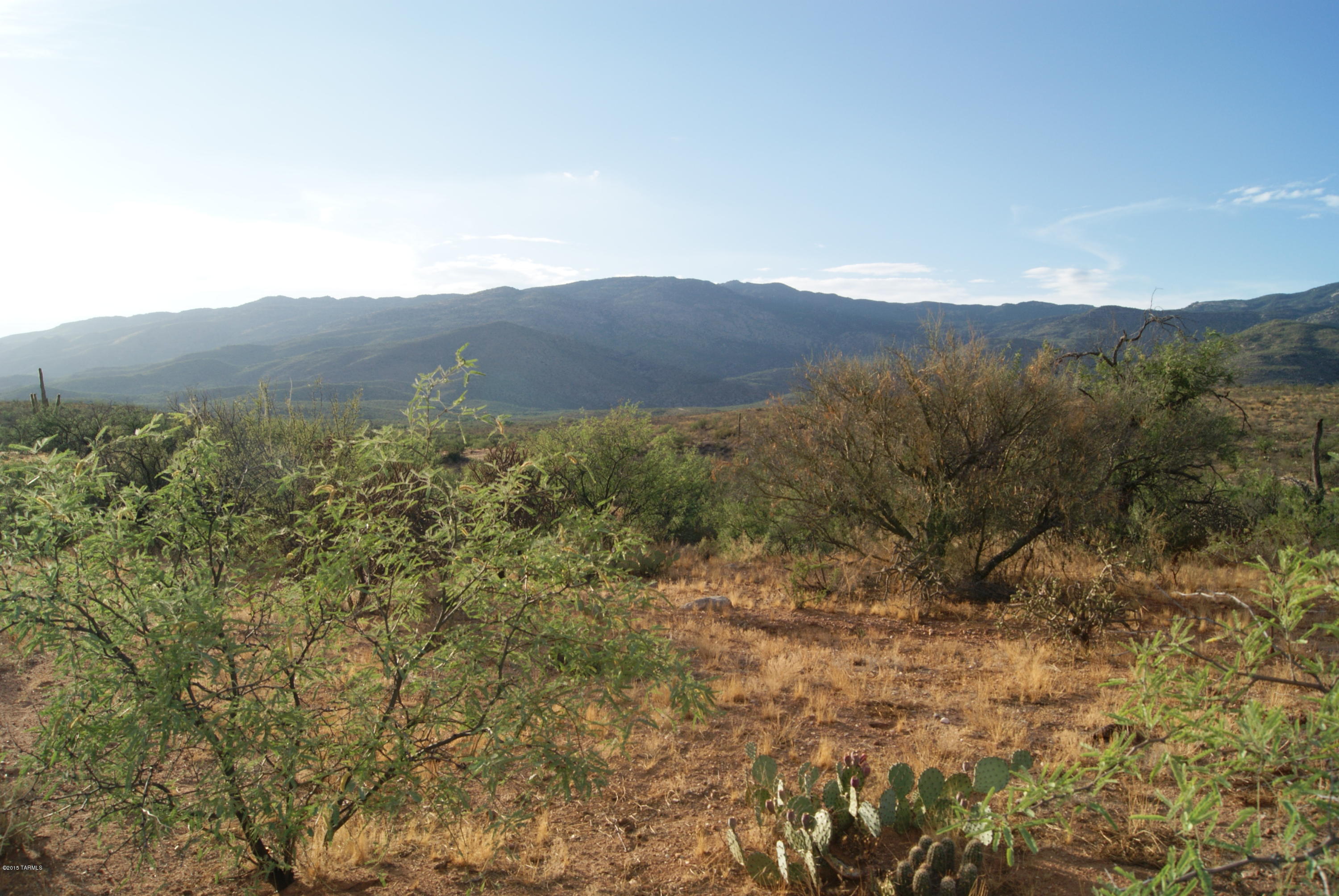 X9 Ranch - Land