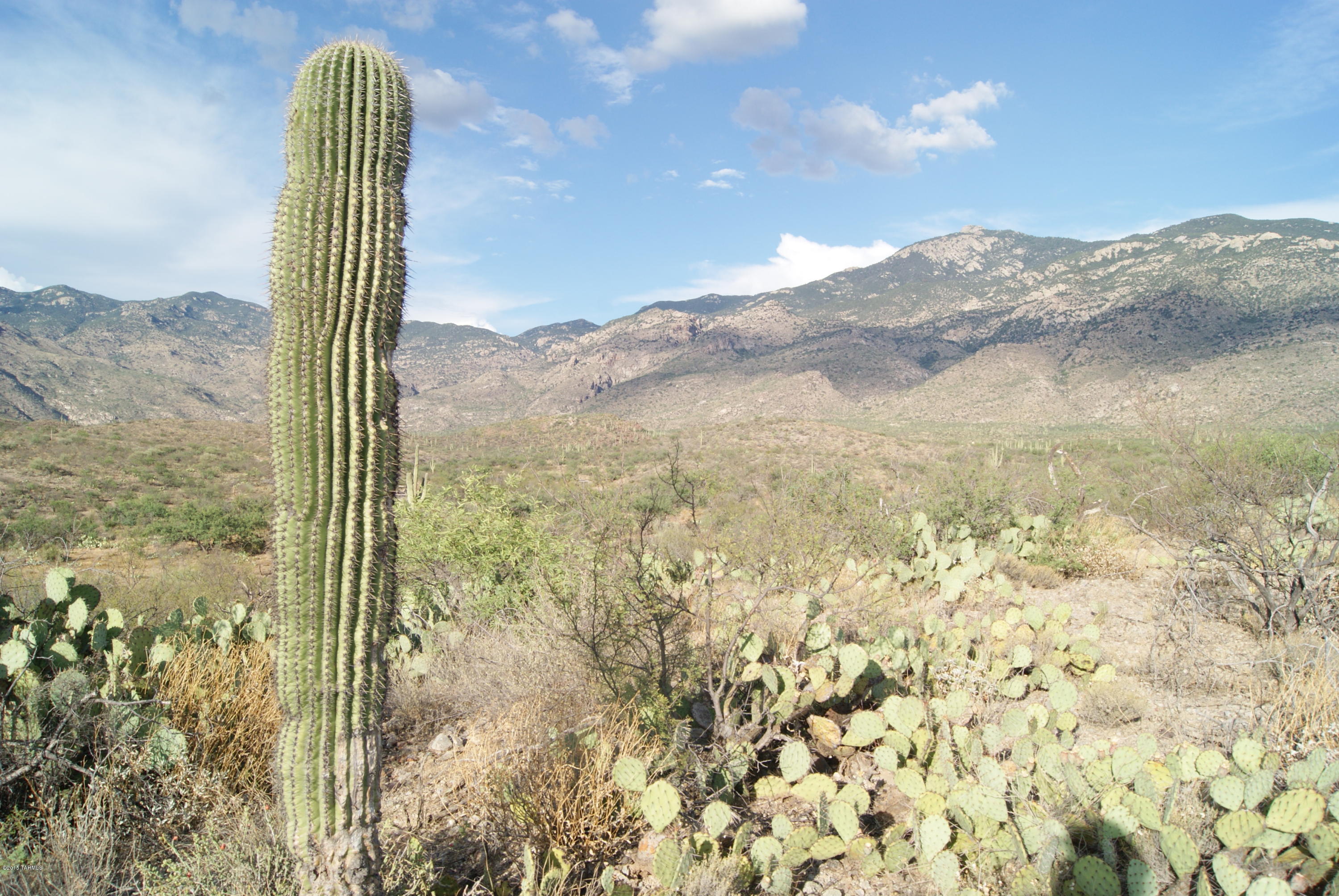 X9 Ranch - Land