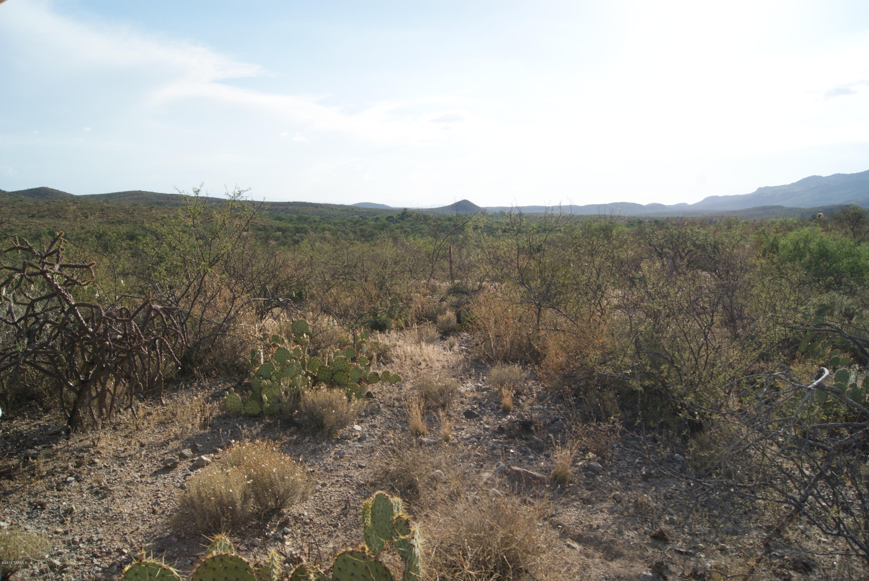 X9 Ranch - Land