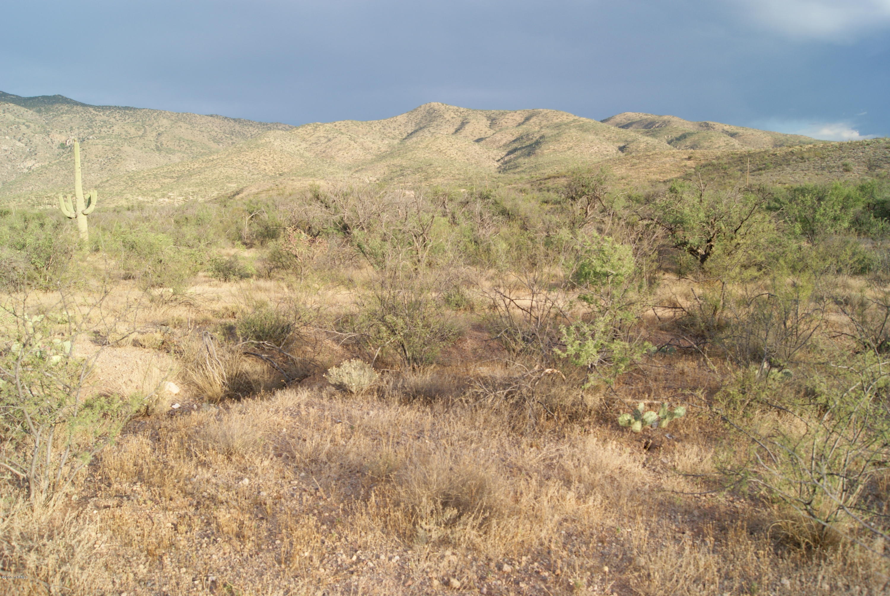 X9 Ranch - Land
