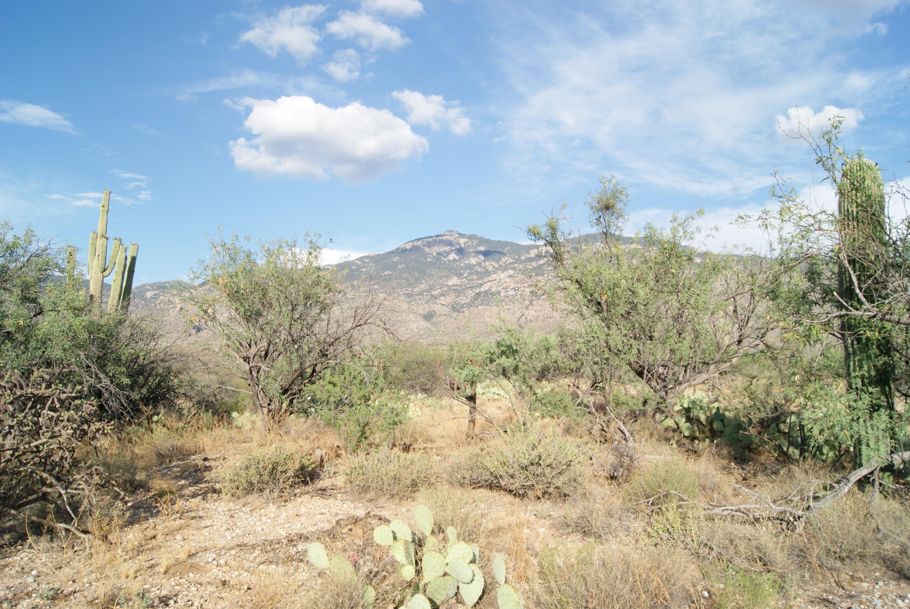 X9 Ranch - Land