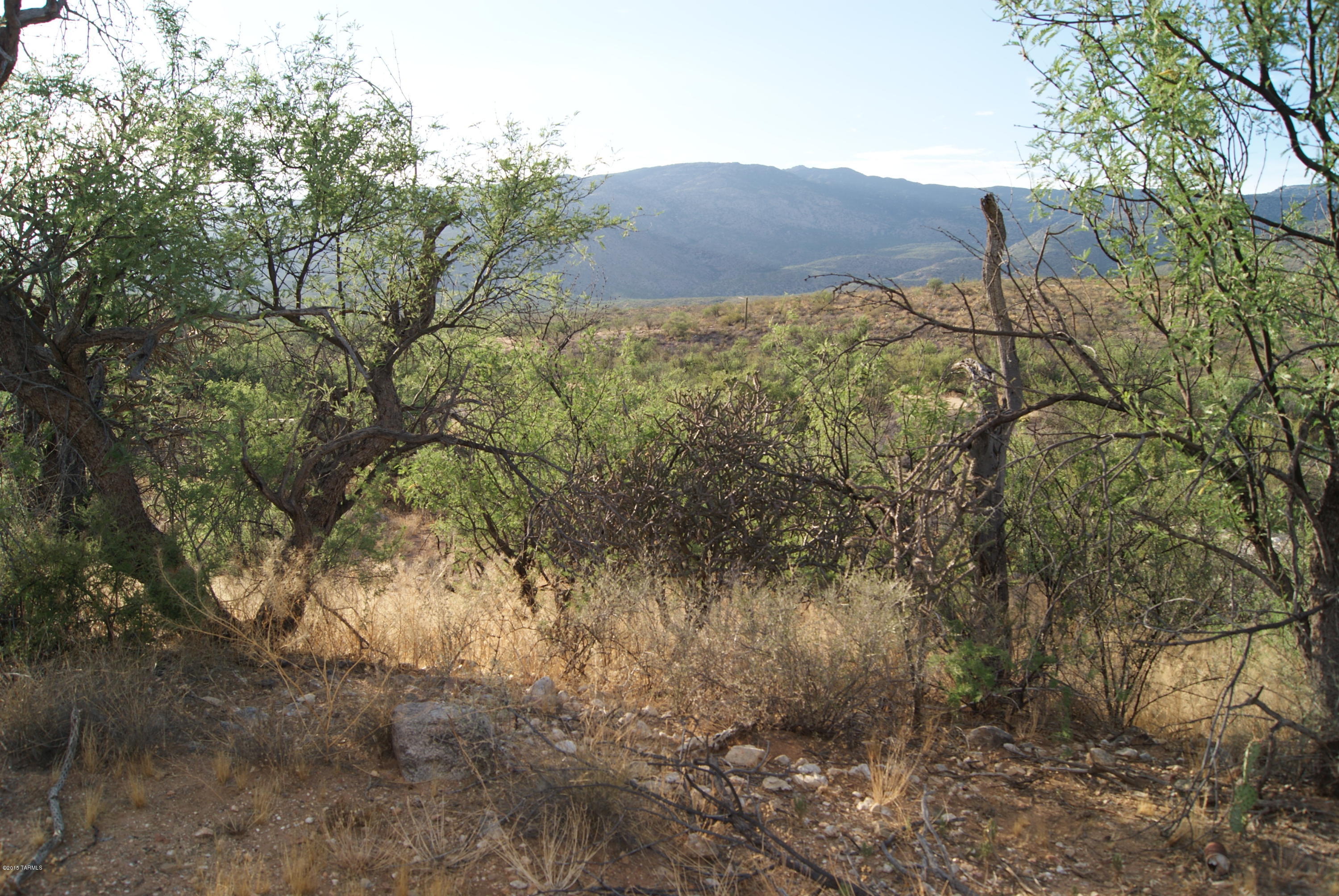 X9 Ranch - Land