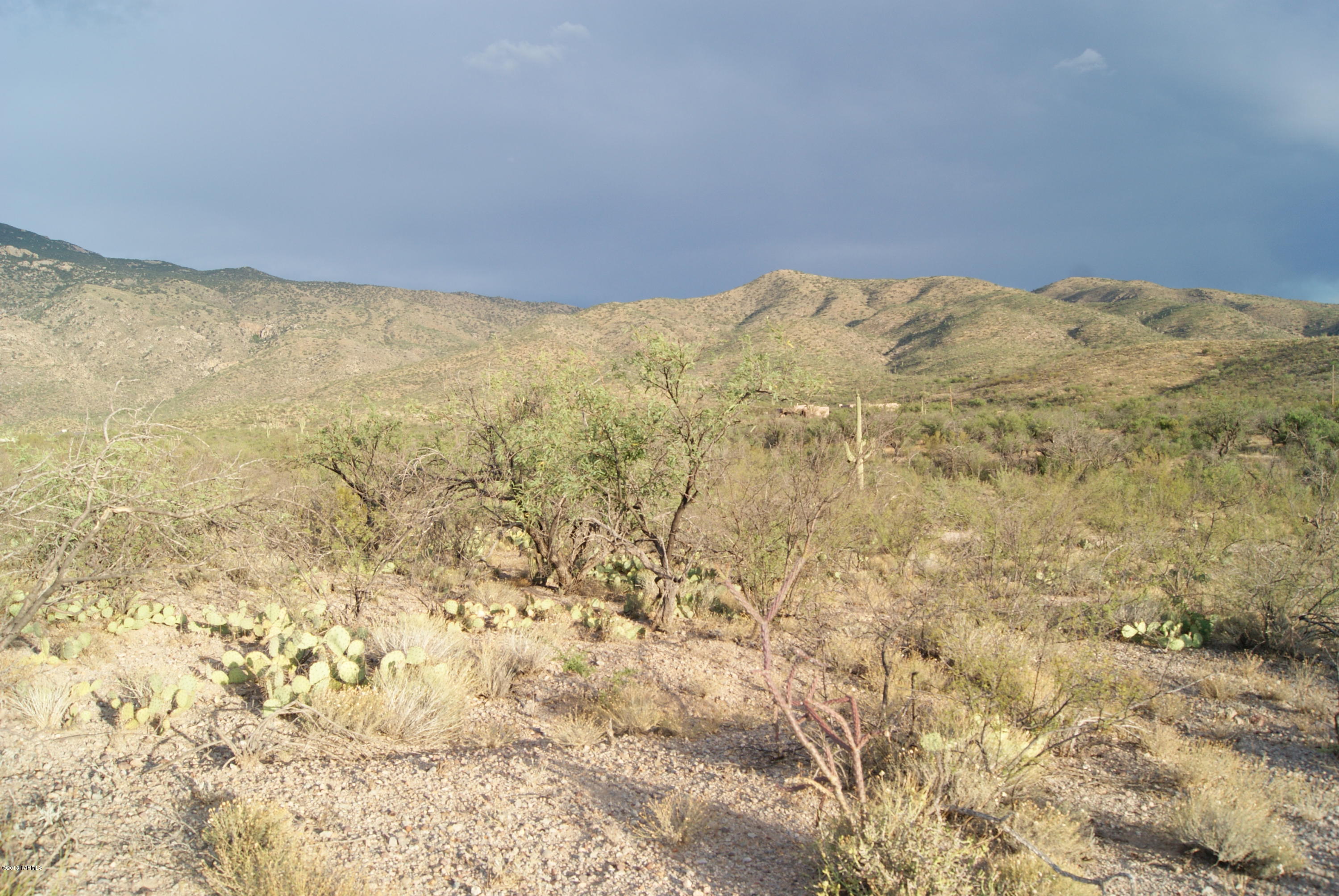 X9 Ranch - Land