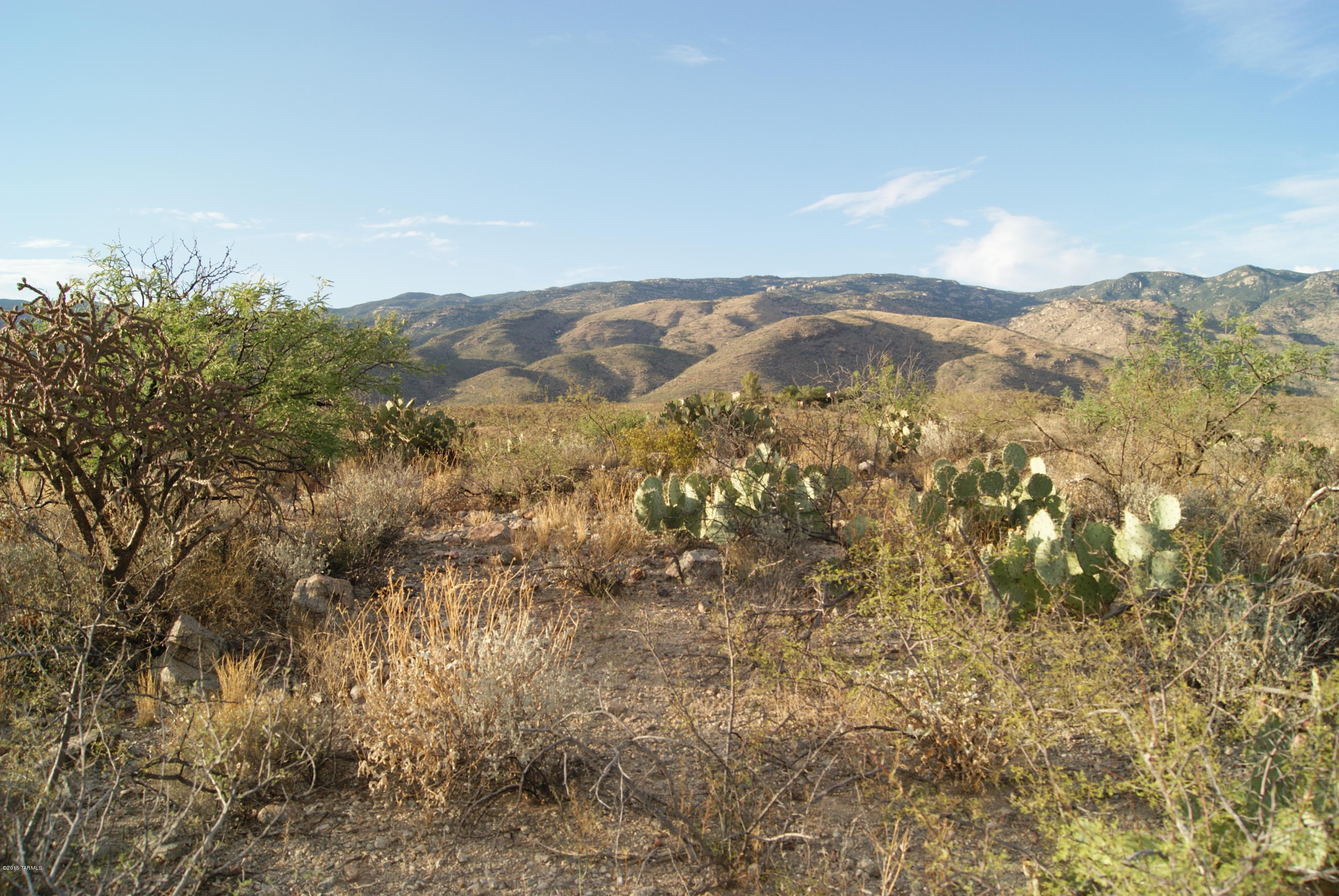 X9 Ranch - Land