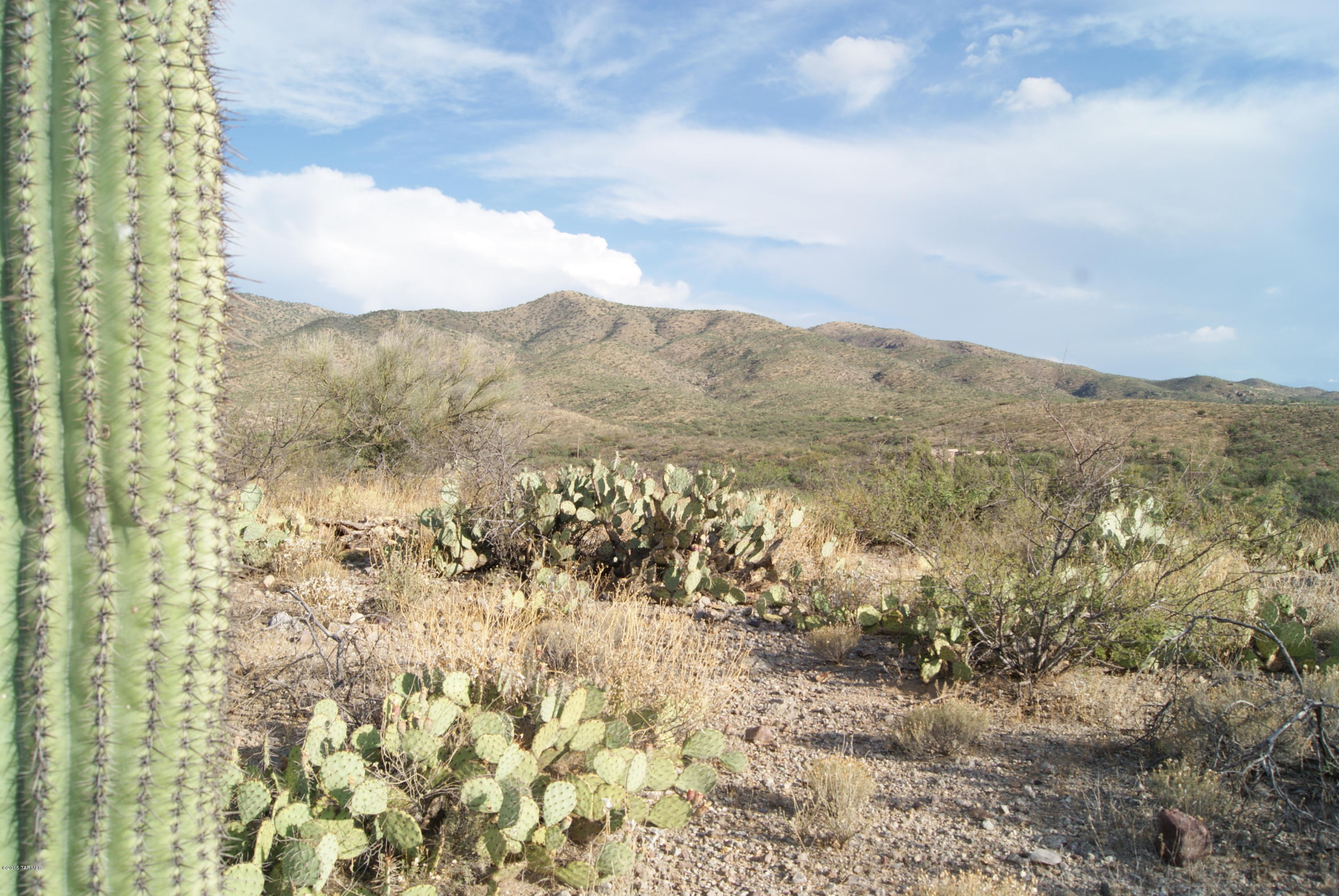 X9 Ranch - Land