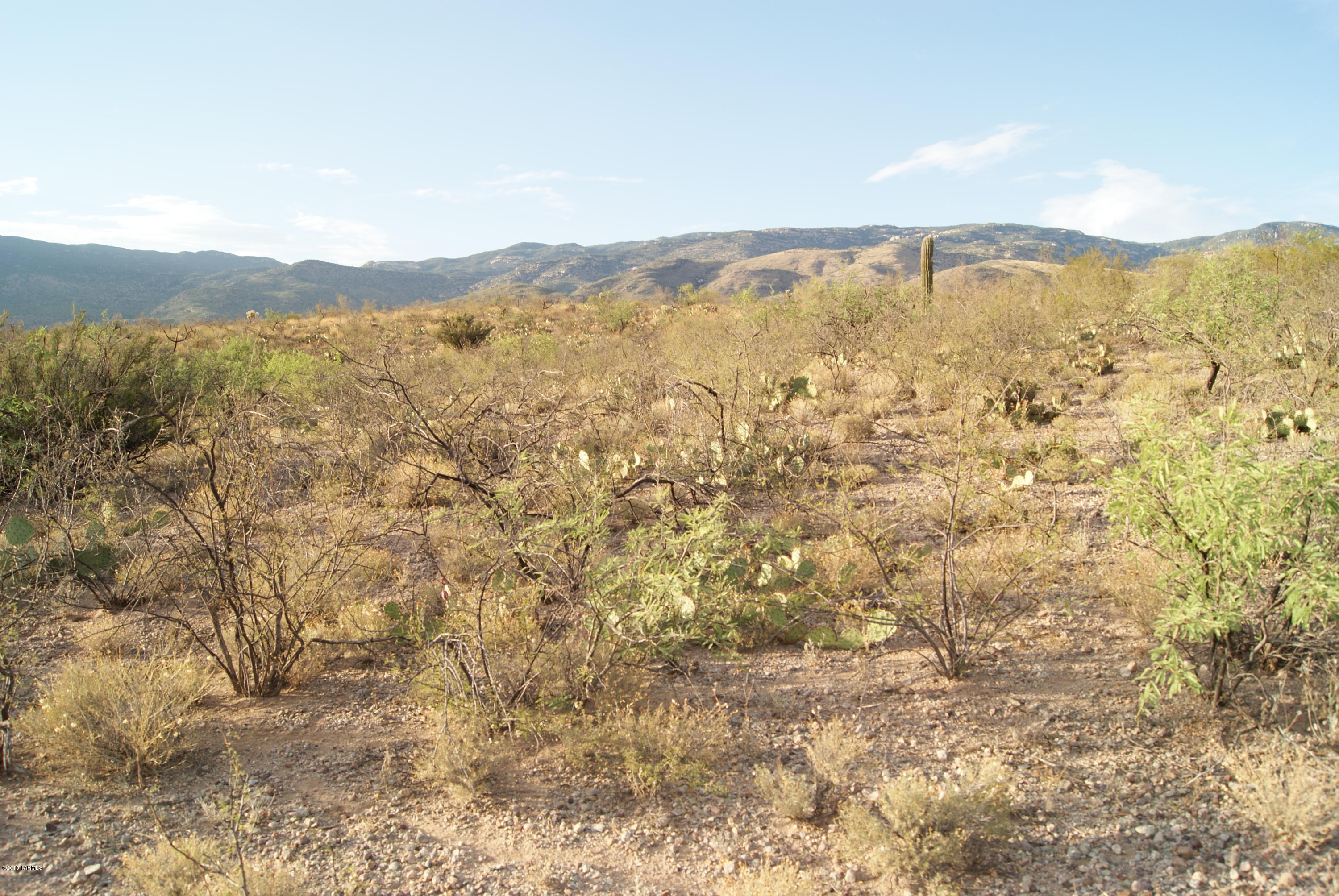 X9 Ranch - Land