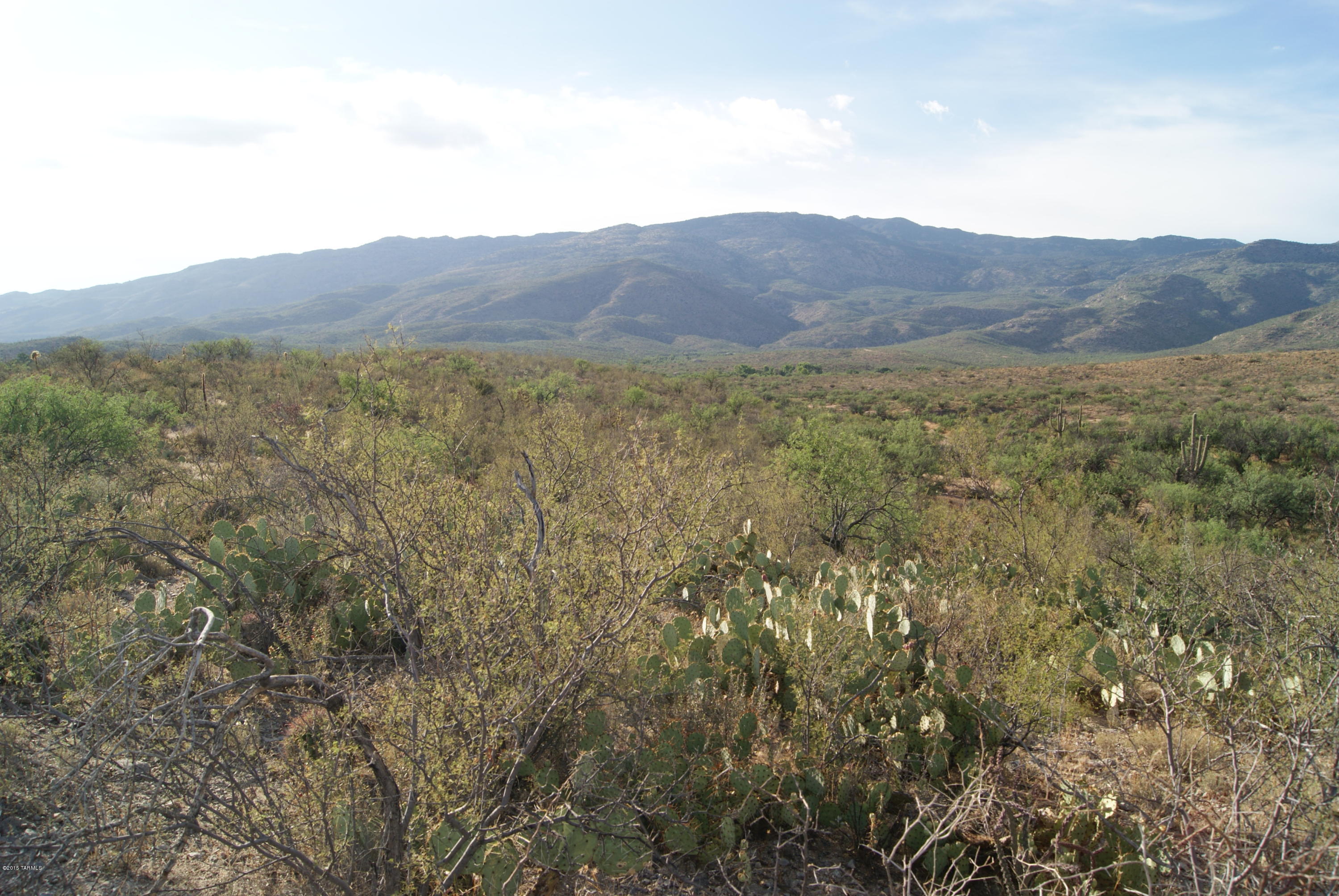 X9 Ranch - Land