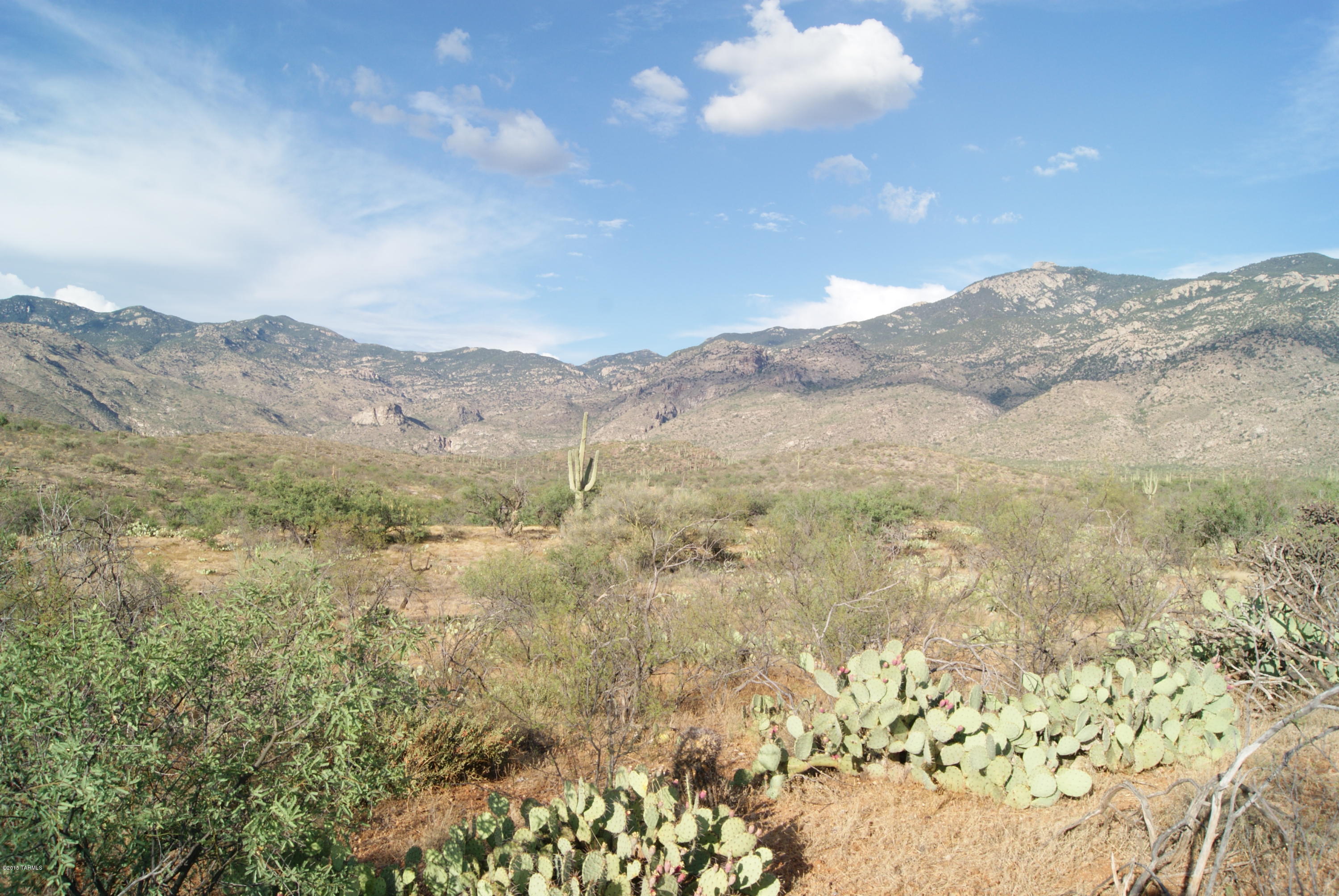 X9 Ranch - Land