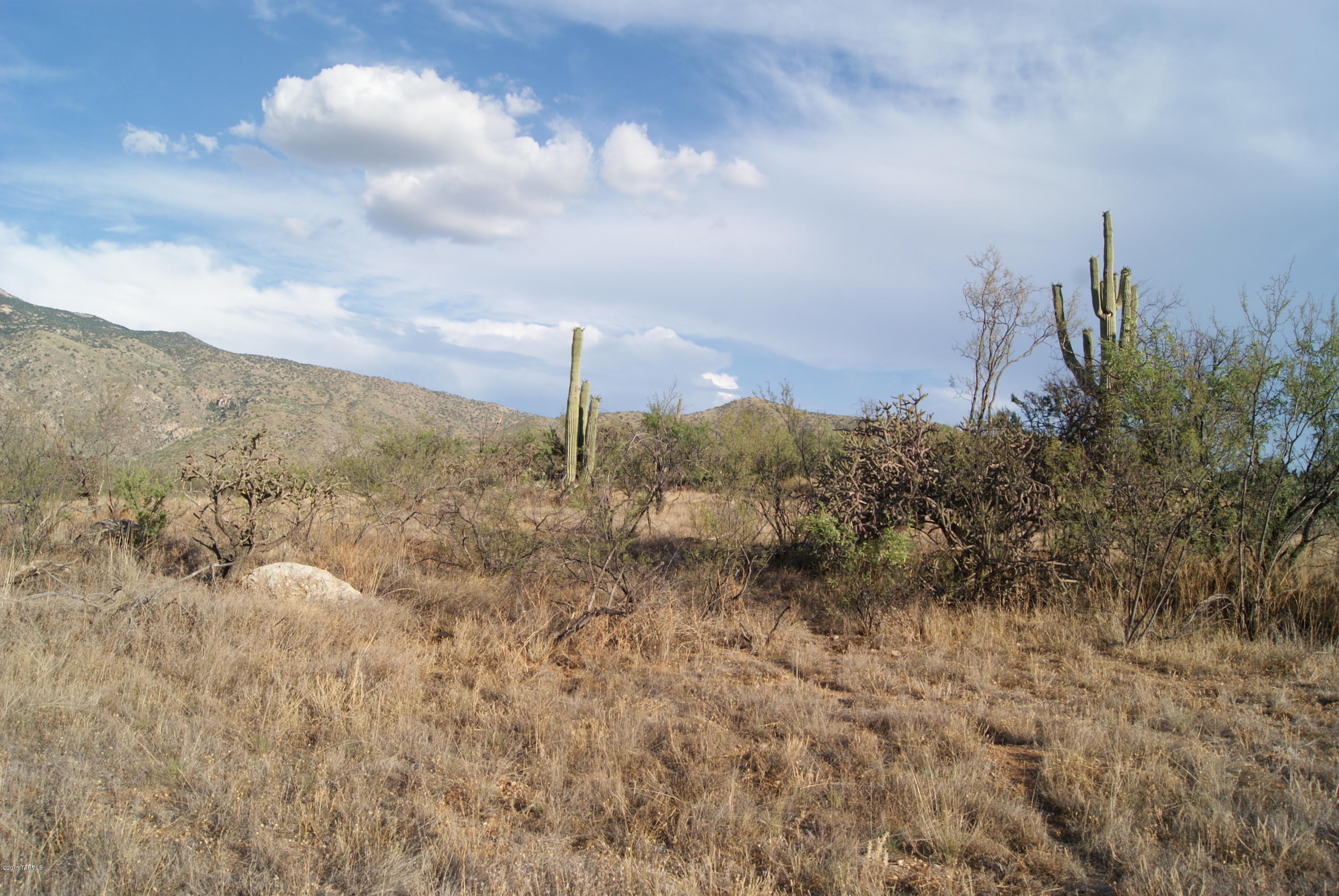 X9 Ranch - Land
