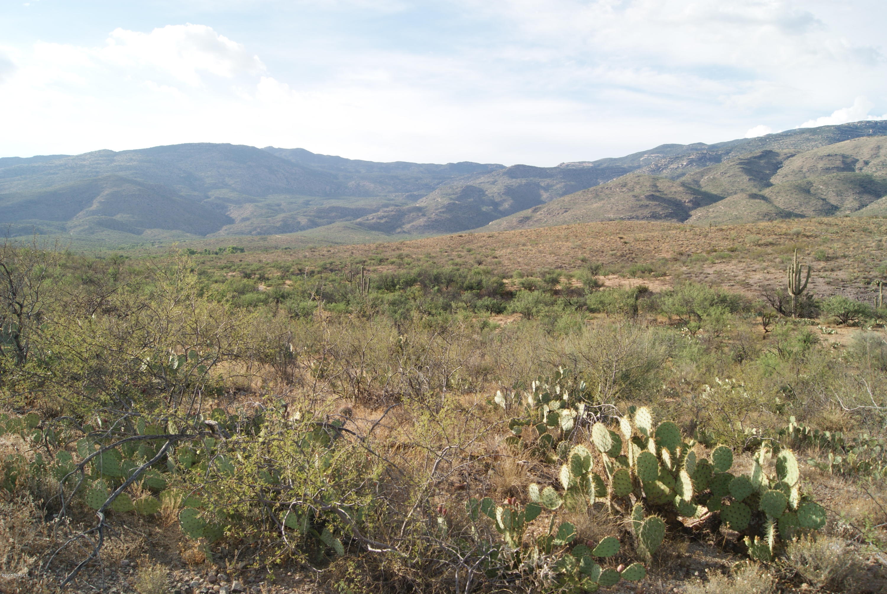 X9 Ranch - Land