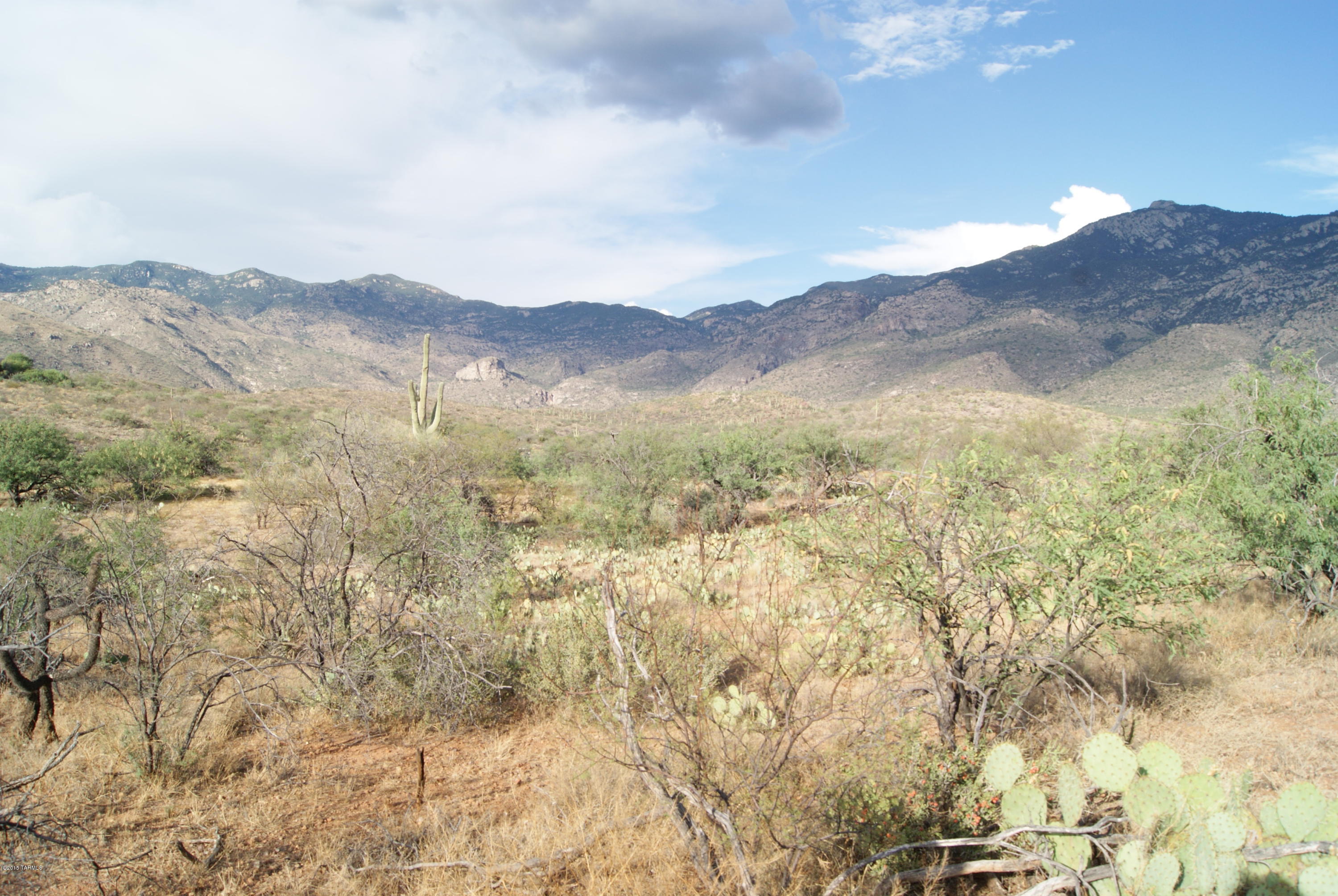 X9 Ranch - Land