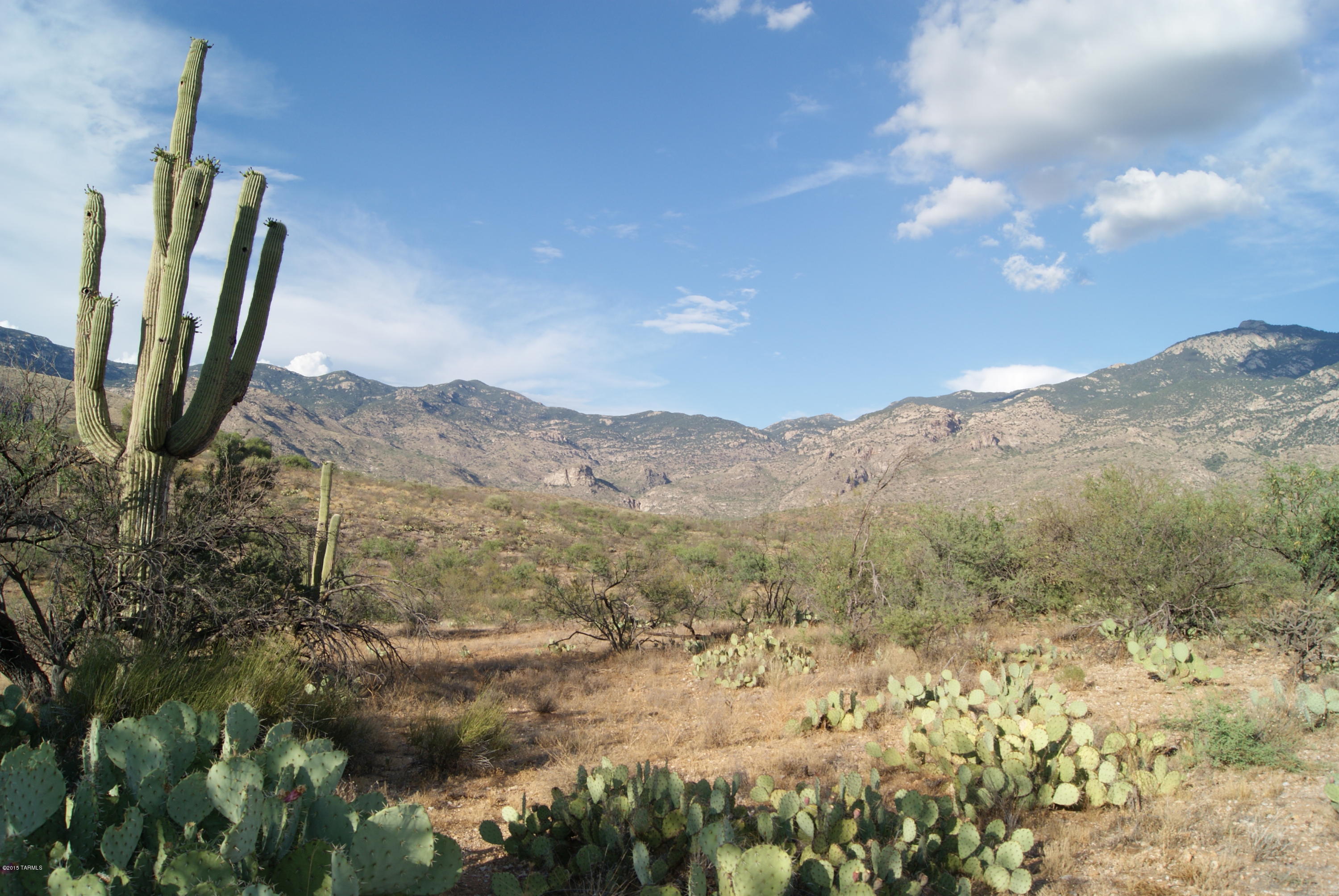 X9 Ranch - Land