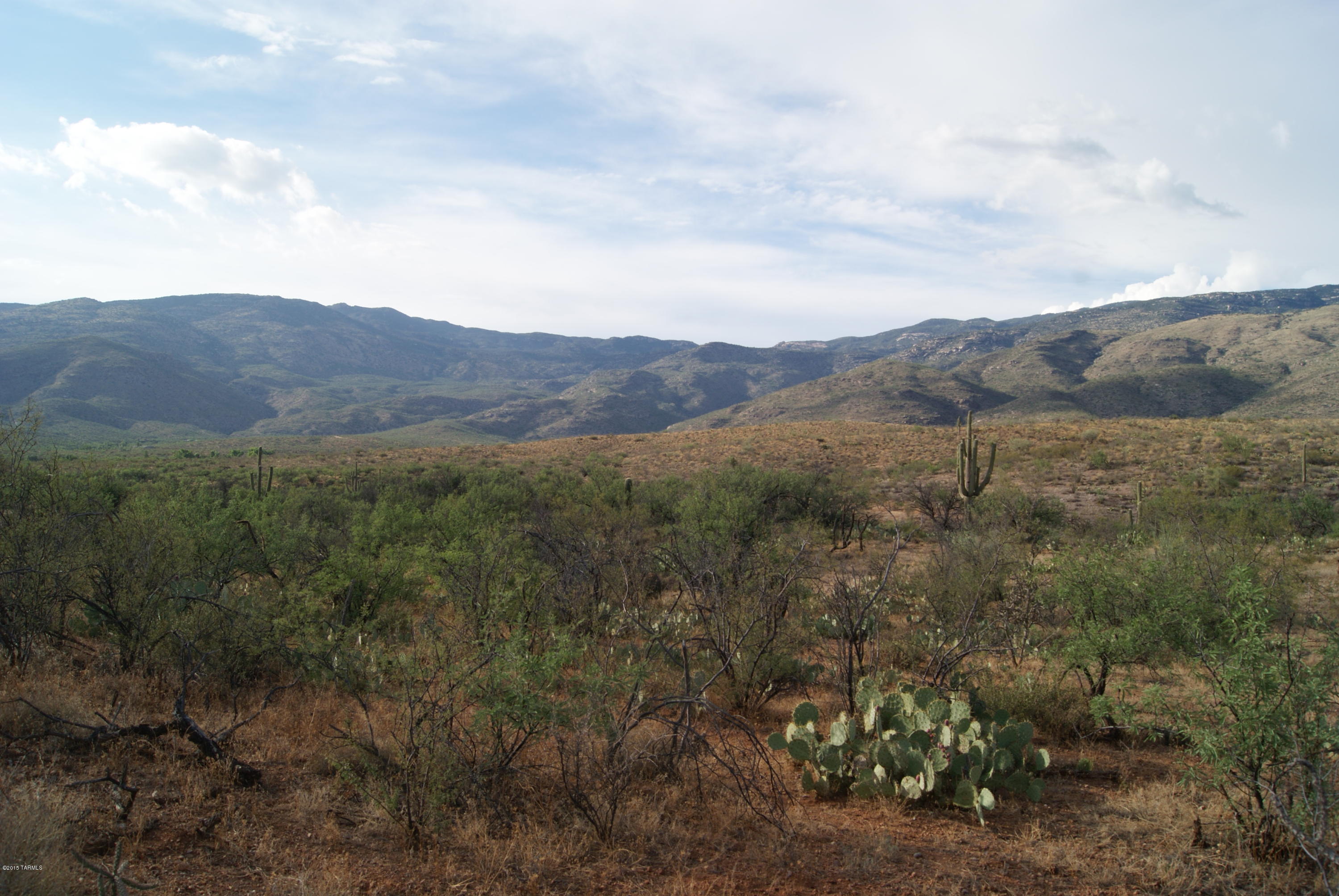 X9 Ranch - Land