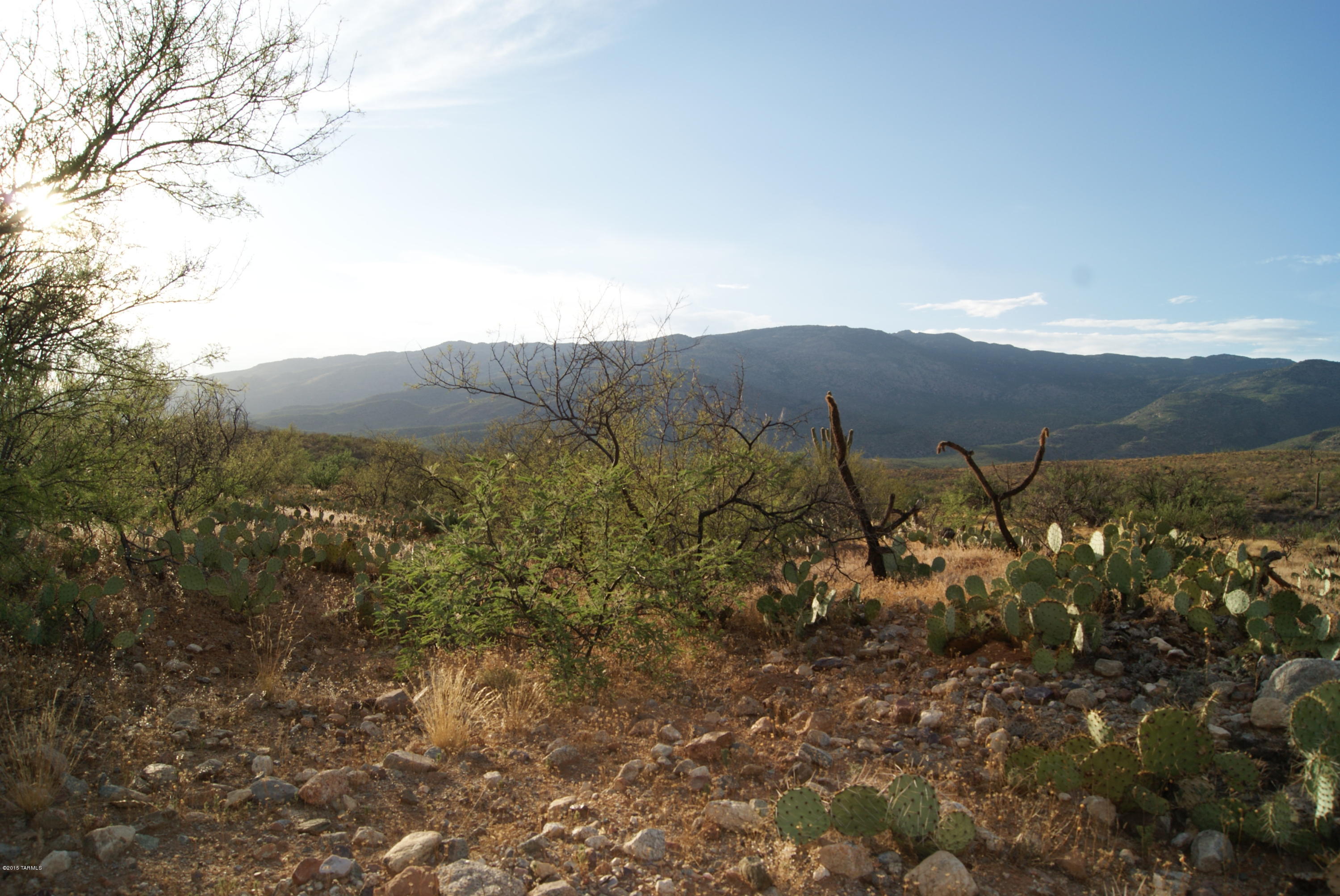 X9 Ranch - Land