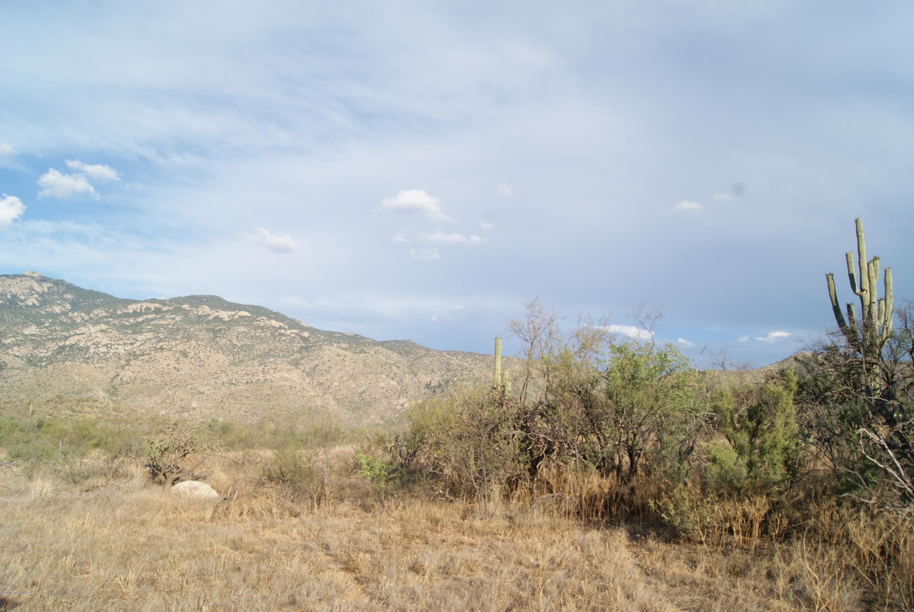 X9 Ranch - Land