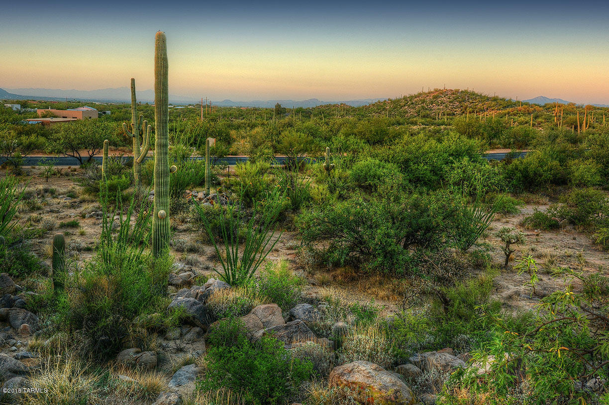 Stone Canyon II - Land