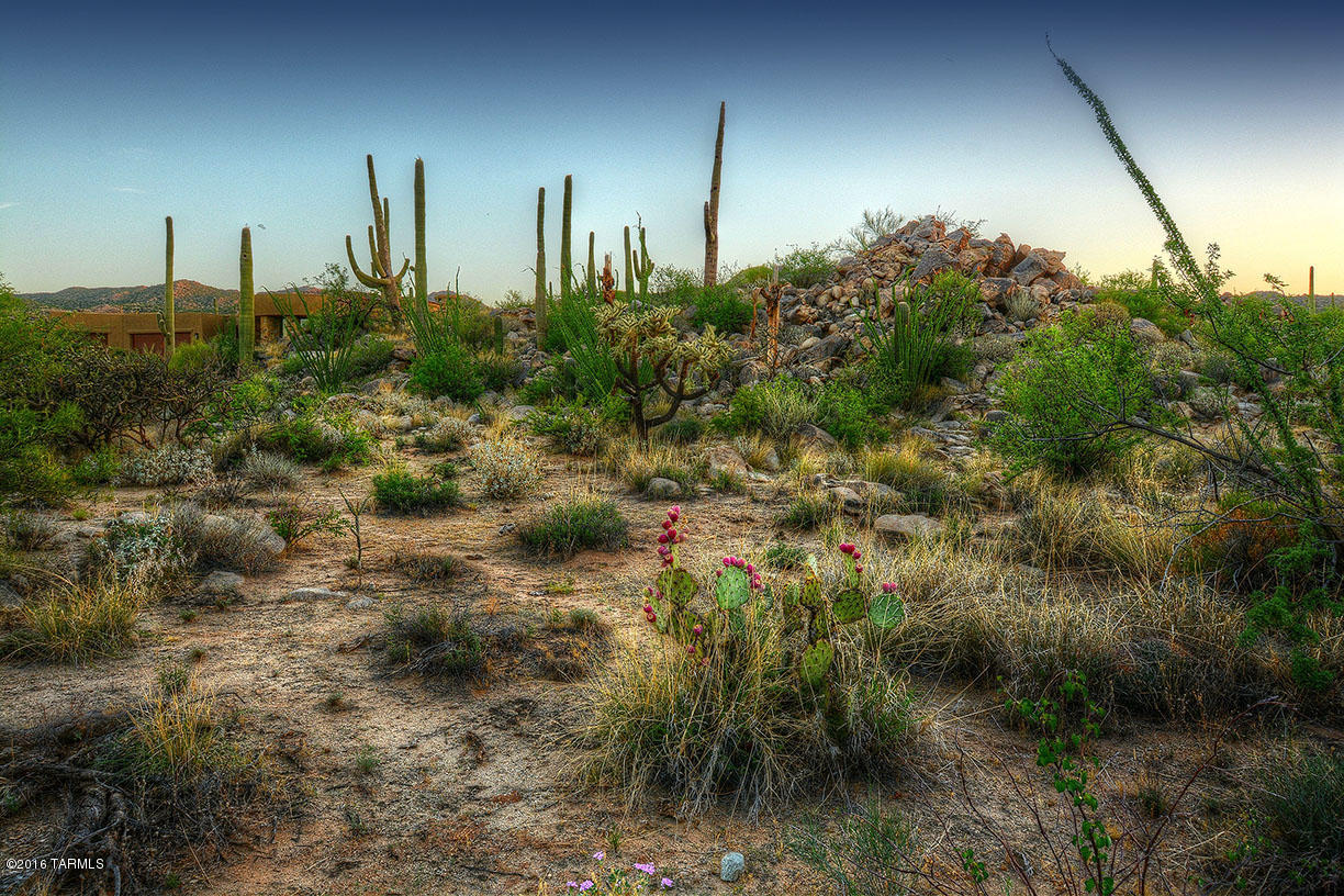 Stone Canyon II - Land