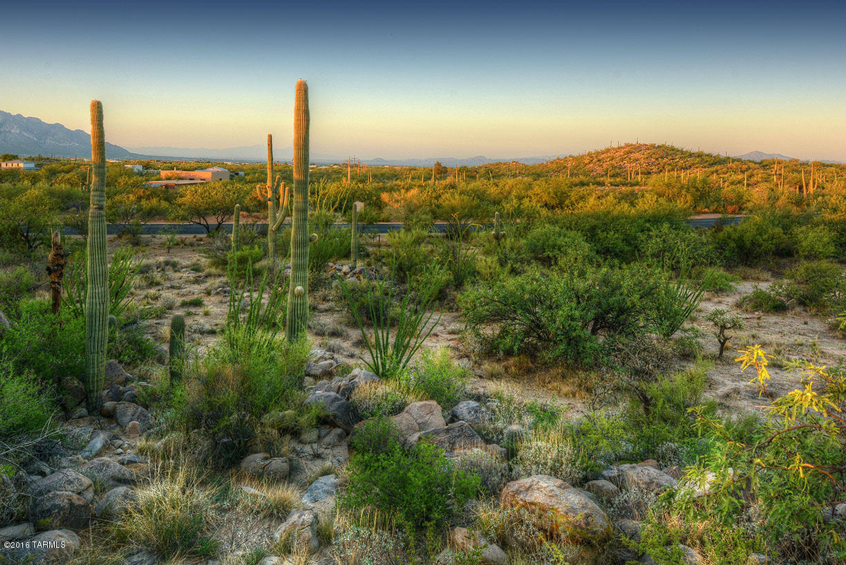 Stone Canyon II - Land