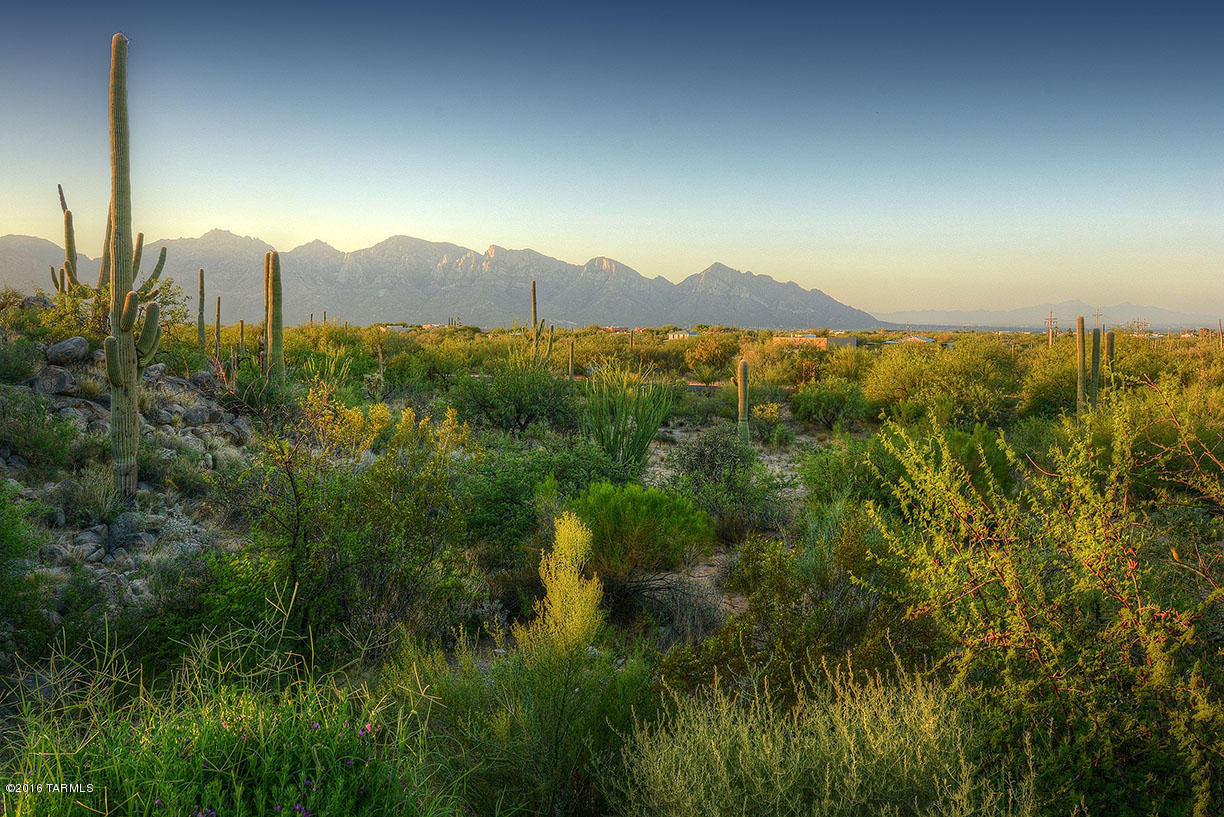 Stone Canyon II - Land