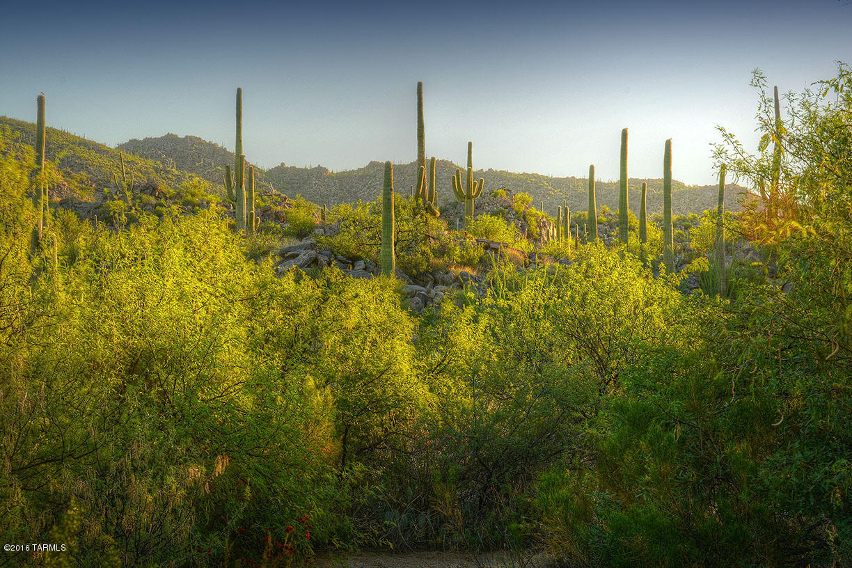 Stone Canyon II - Land