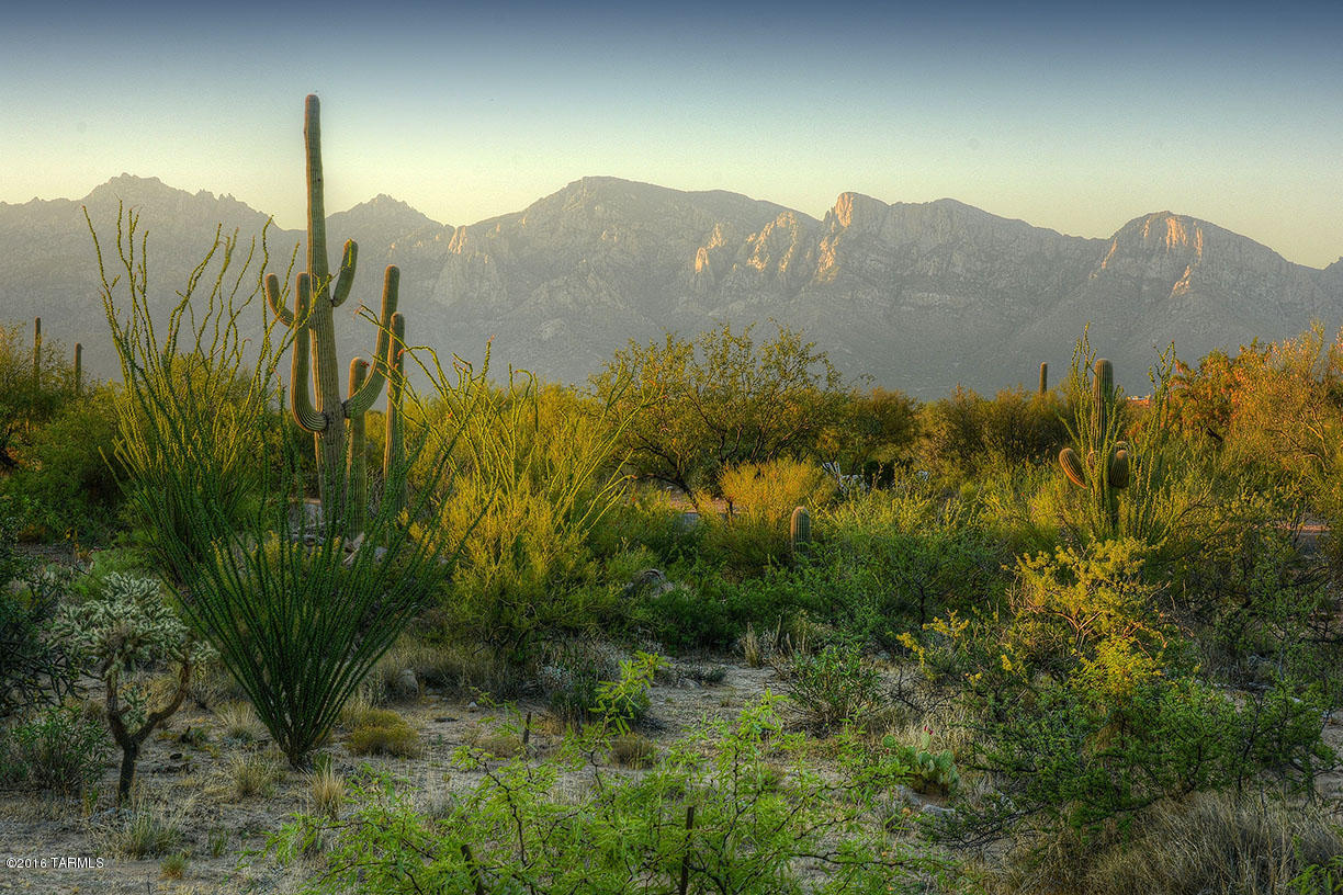 Beautiful Tortolita & Catalina Mountain views from this one acre lot in gated Stone Canyon. Flat, easy build site has a variety of desert plants, stunning saguaros and rock croppings. Start enjoying all of Phil Mickelson's Stone Canyon Club amenities now and build when you are ready.