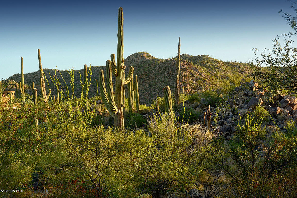 Stone Canyon II - Land