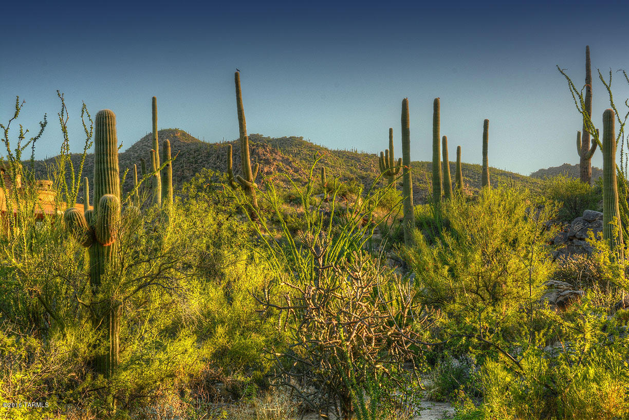 Stone Canyon II - Land