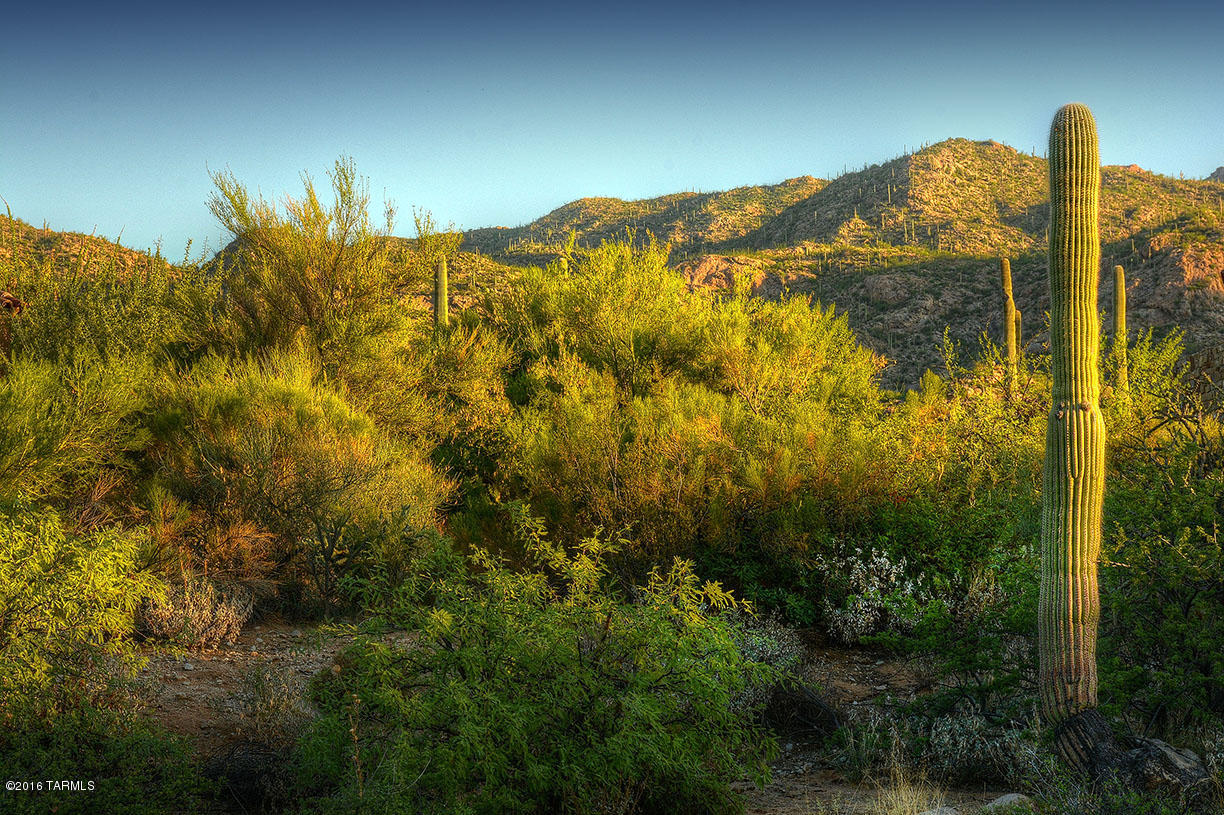 Stone Canyon II - Land