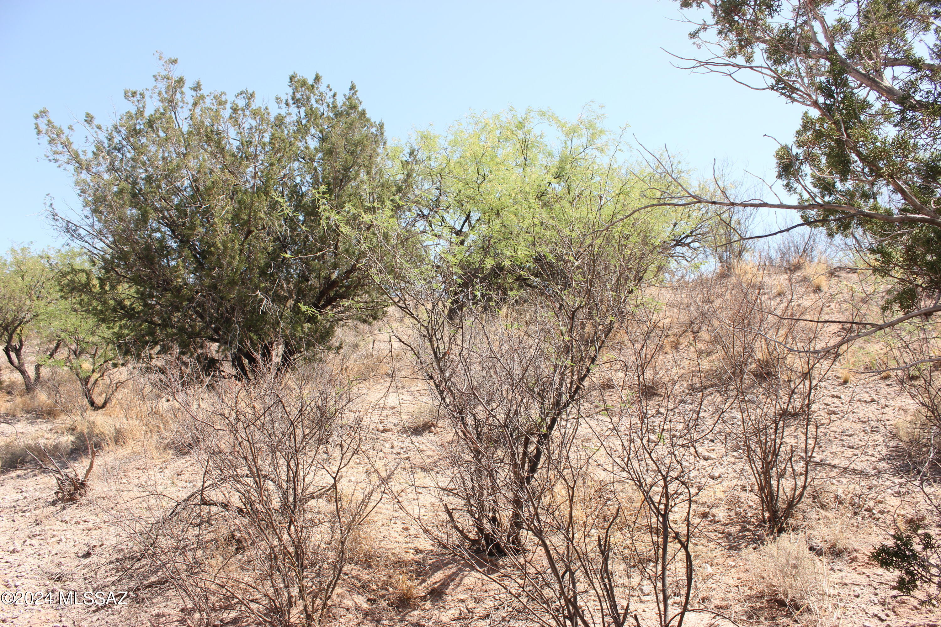 Rio Rico Ranchettes 11 - Land