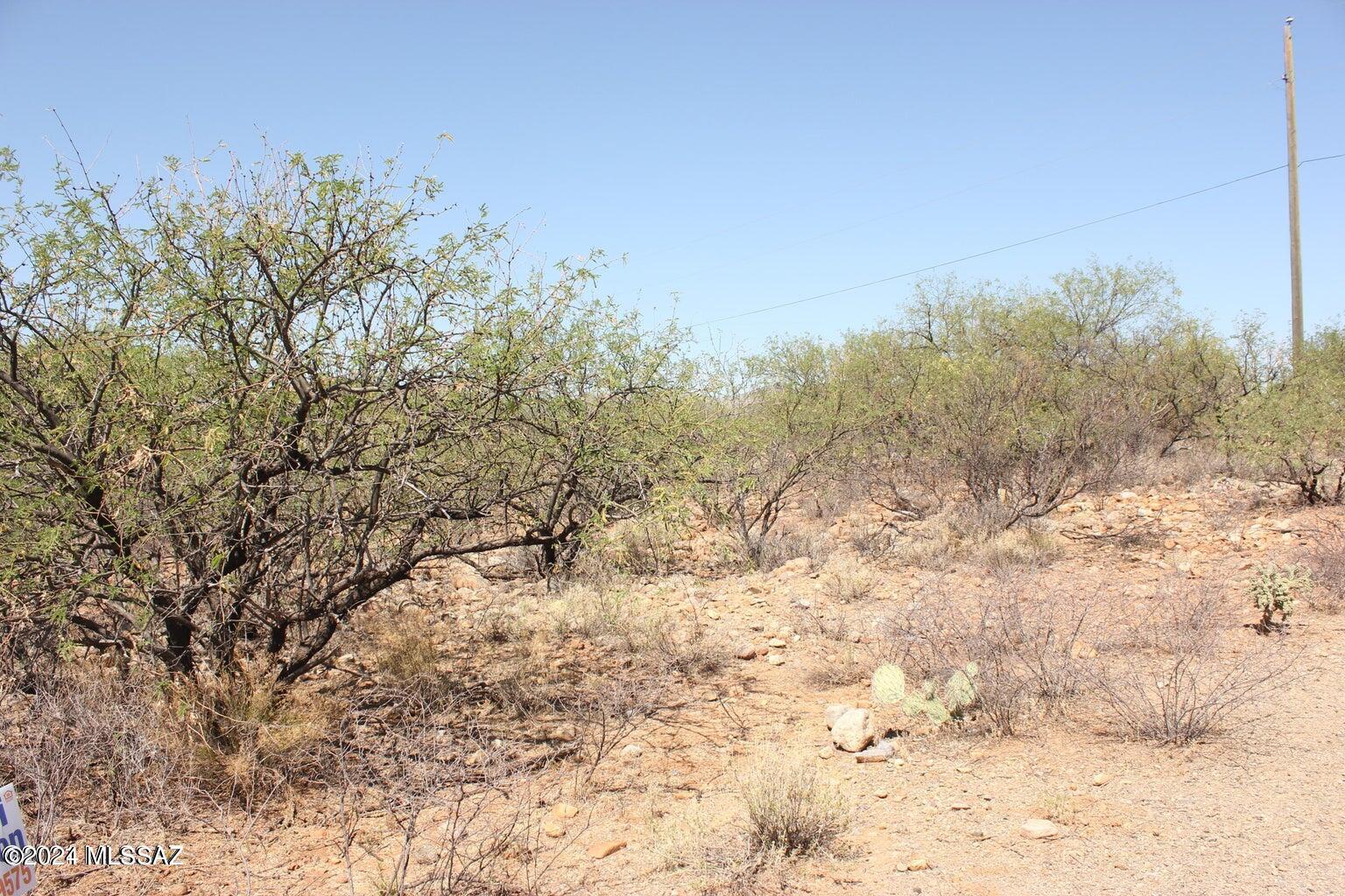 Rio Rico Ranchettes 11 - Land