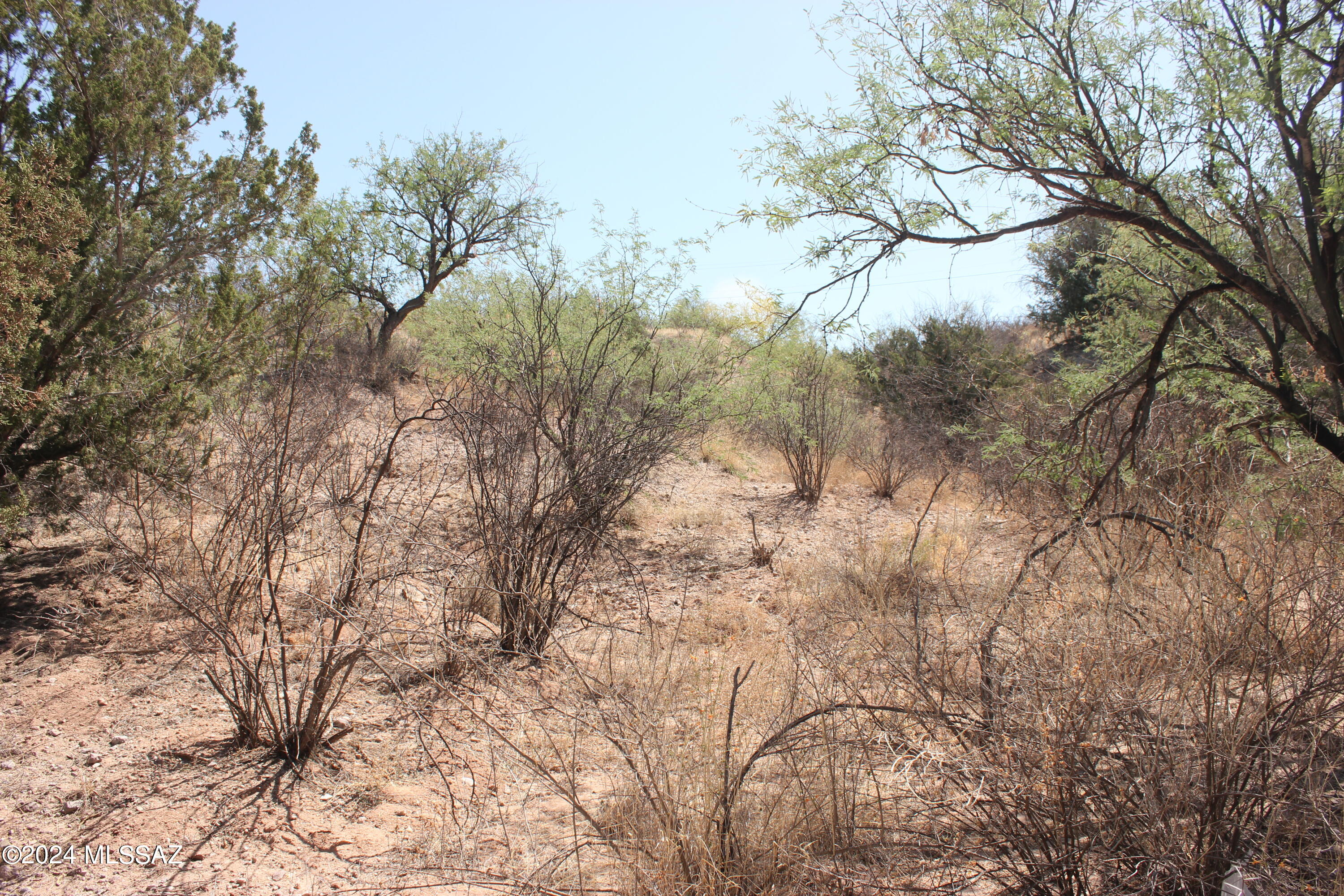 Rio Rico Ranchettes 11 - Land