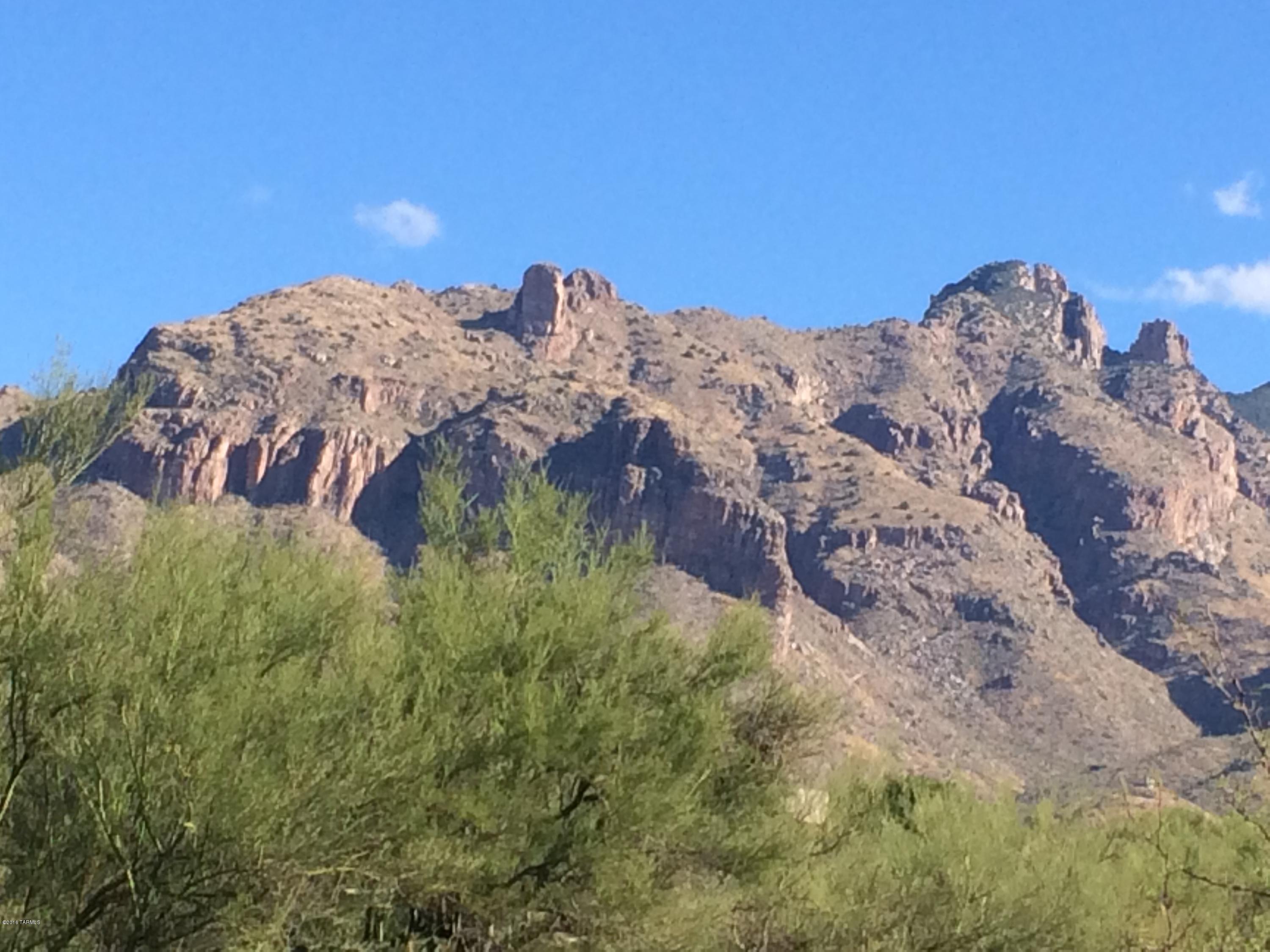 Catalina Foothills Est 9 - Land